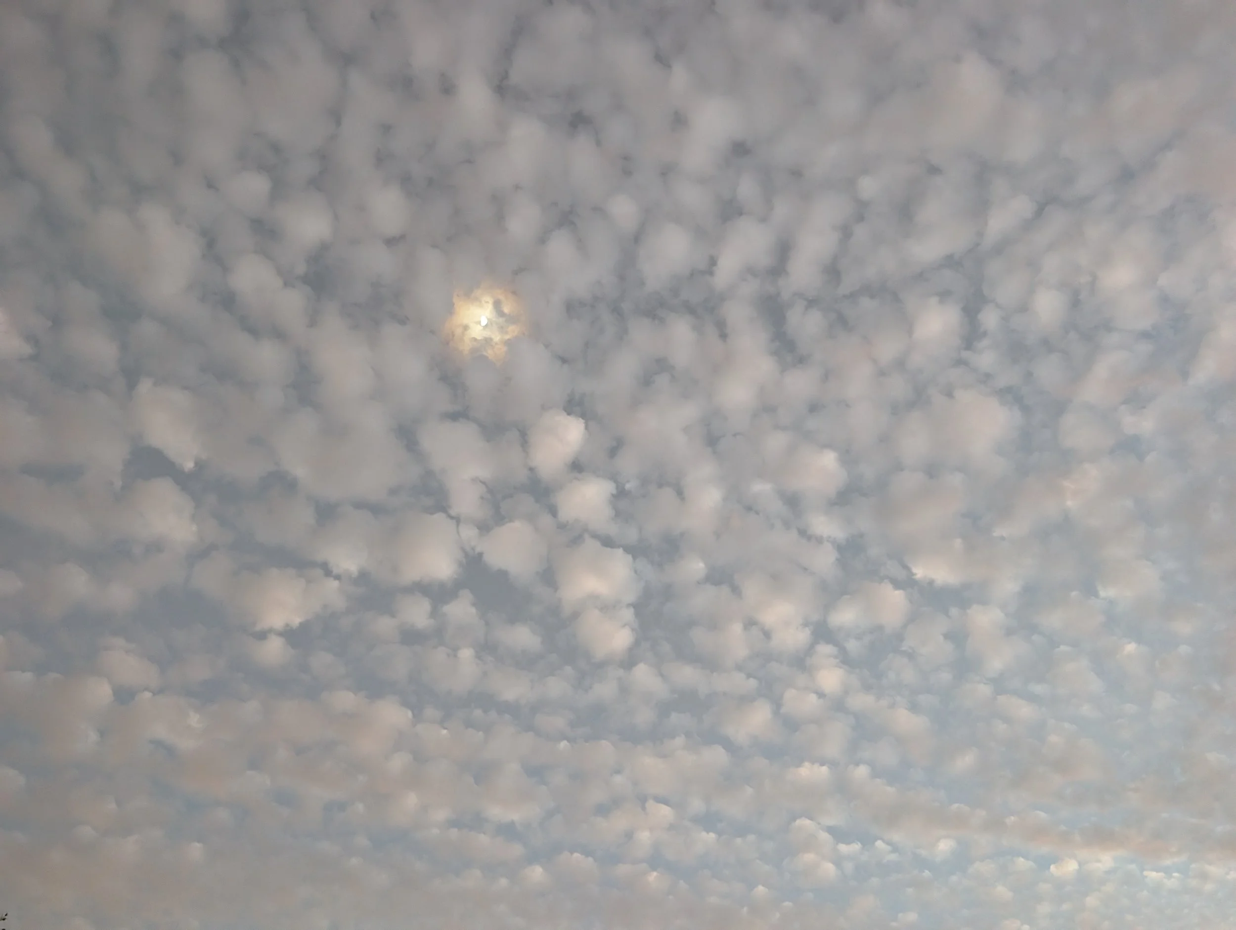 PXL_20251228_235835458.jpg