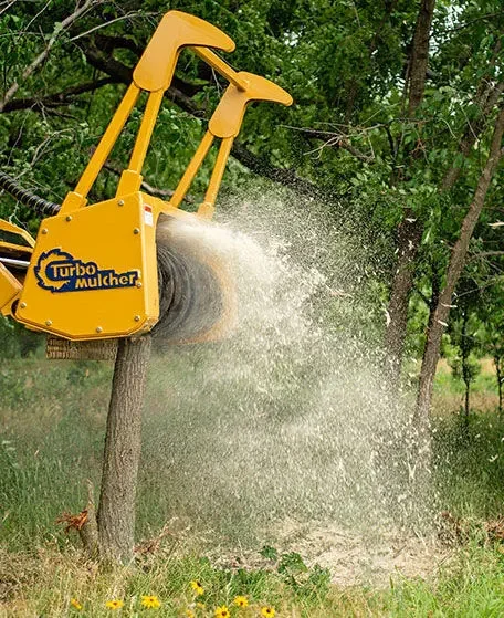 Tree Mulching