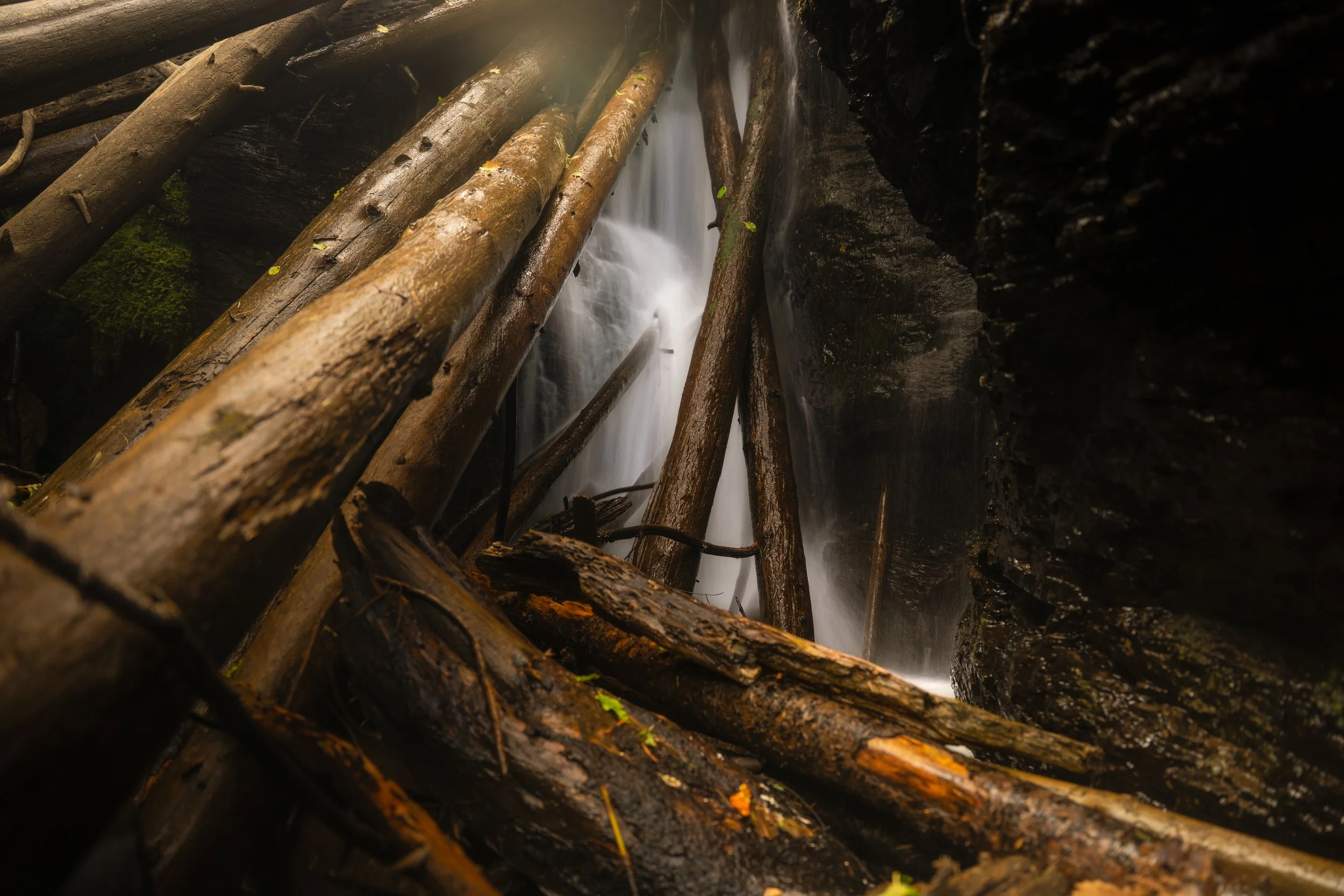 Close-up of fallen logs with water streaming between them in a waterfall inside a dark forest.