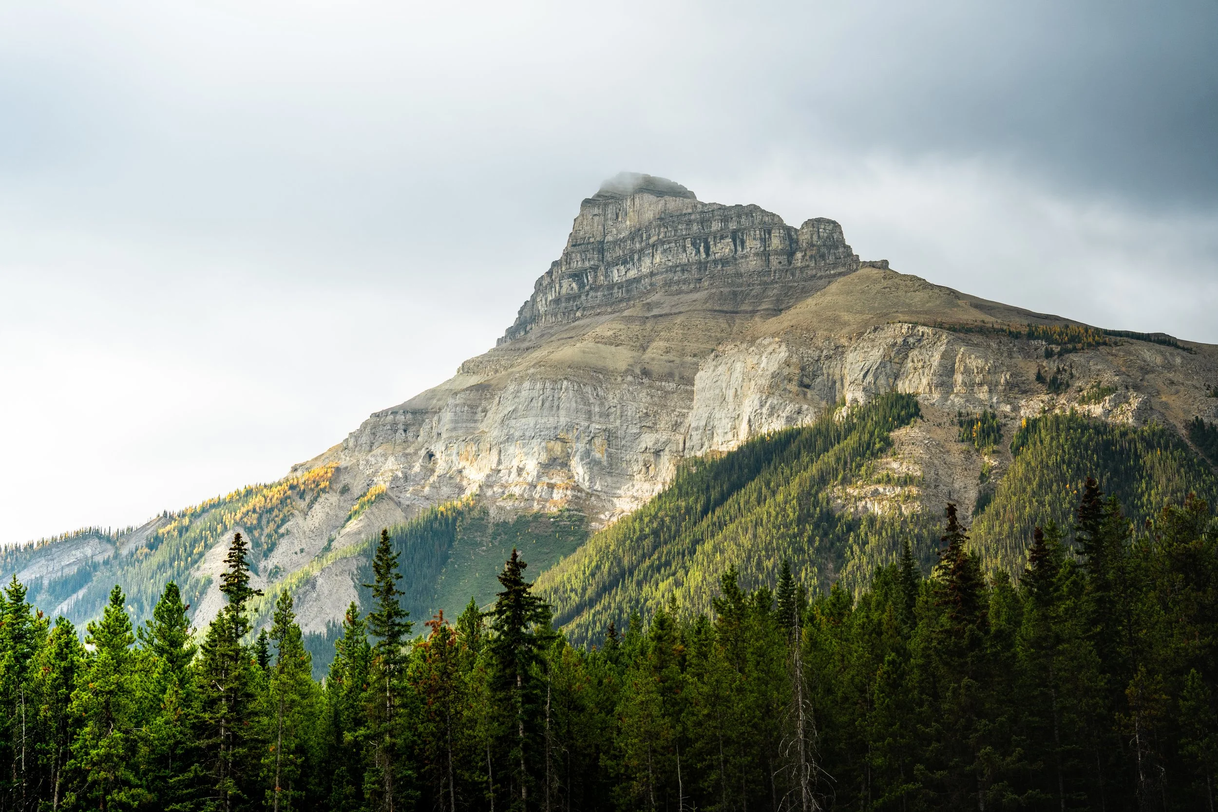 A mountain with a flat peak surrounded by a forest of pine trees under a cloudy sky.