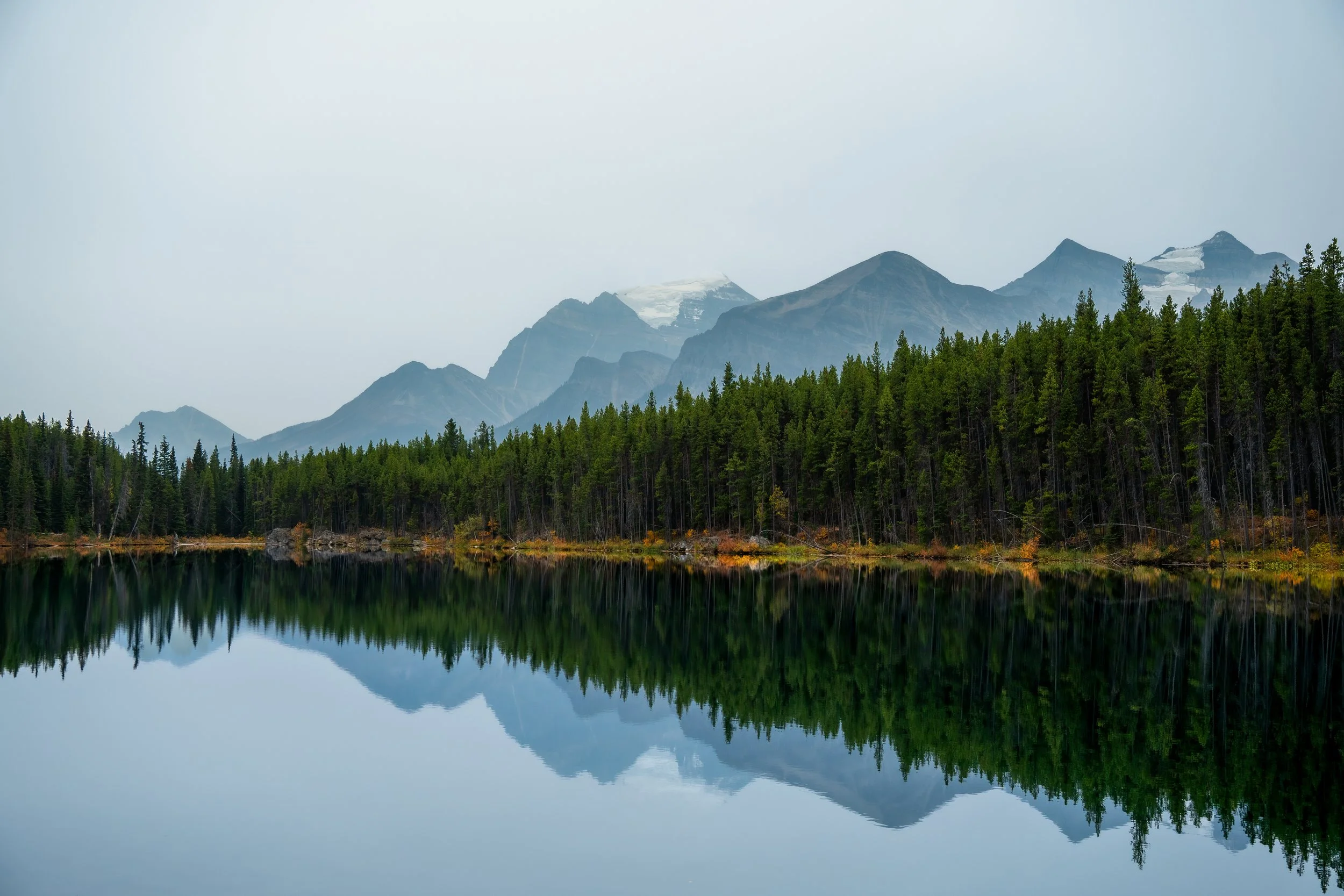 Mountain range with snow-capped peaks reflected in a calm lake, surrounded by a dense green forest under a cloudy sky.