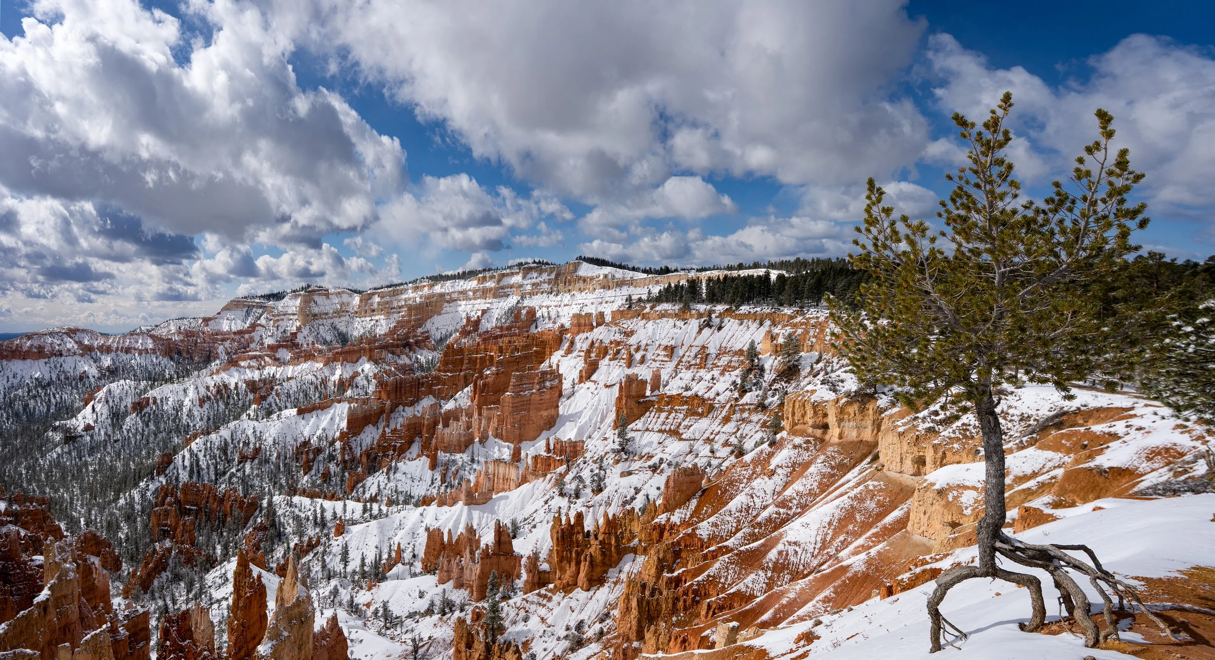 Snow-covered canyon landscape with red rock formations, a tree in the foreground, and a cloudy blue sky.