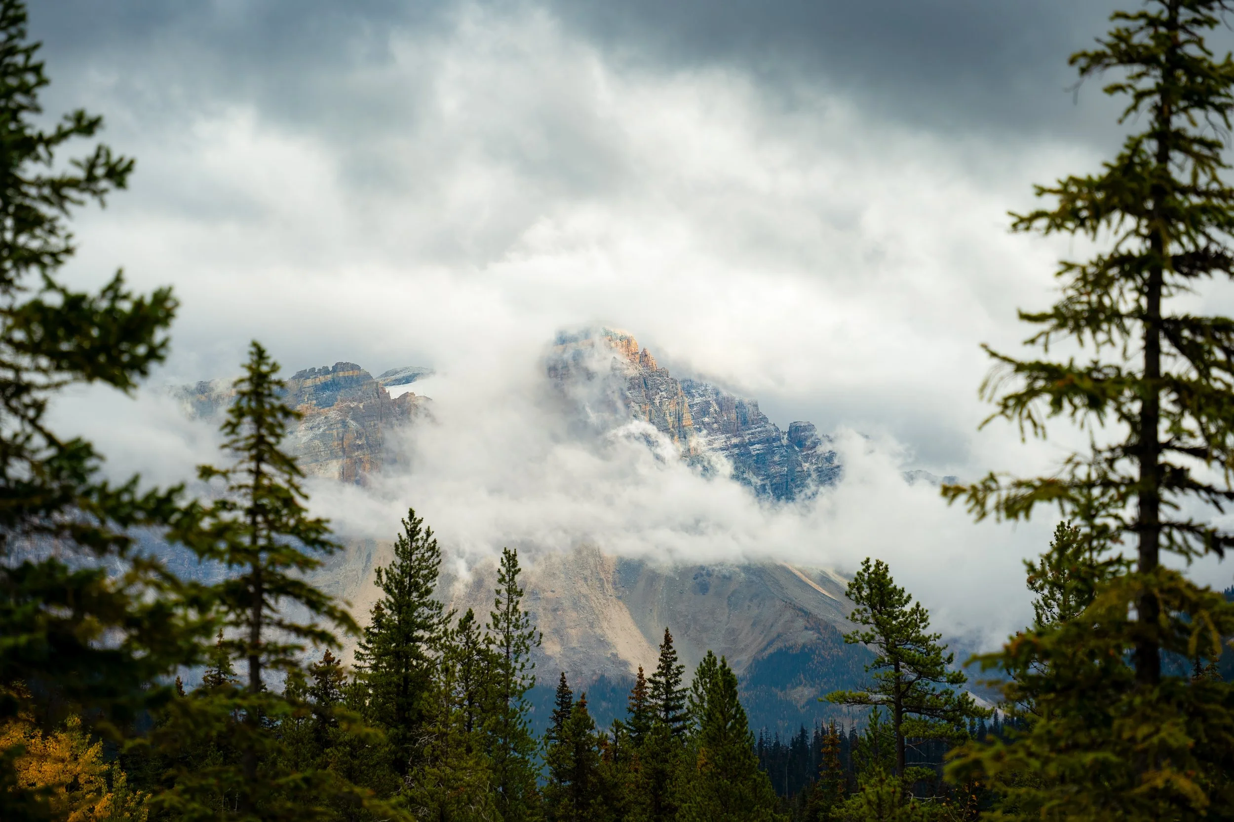 Mountain landscape with clouds, pine trees in foreground, rocky mountain peaks in the distance.