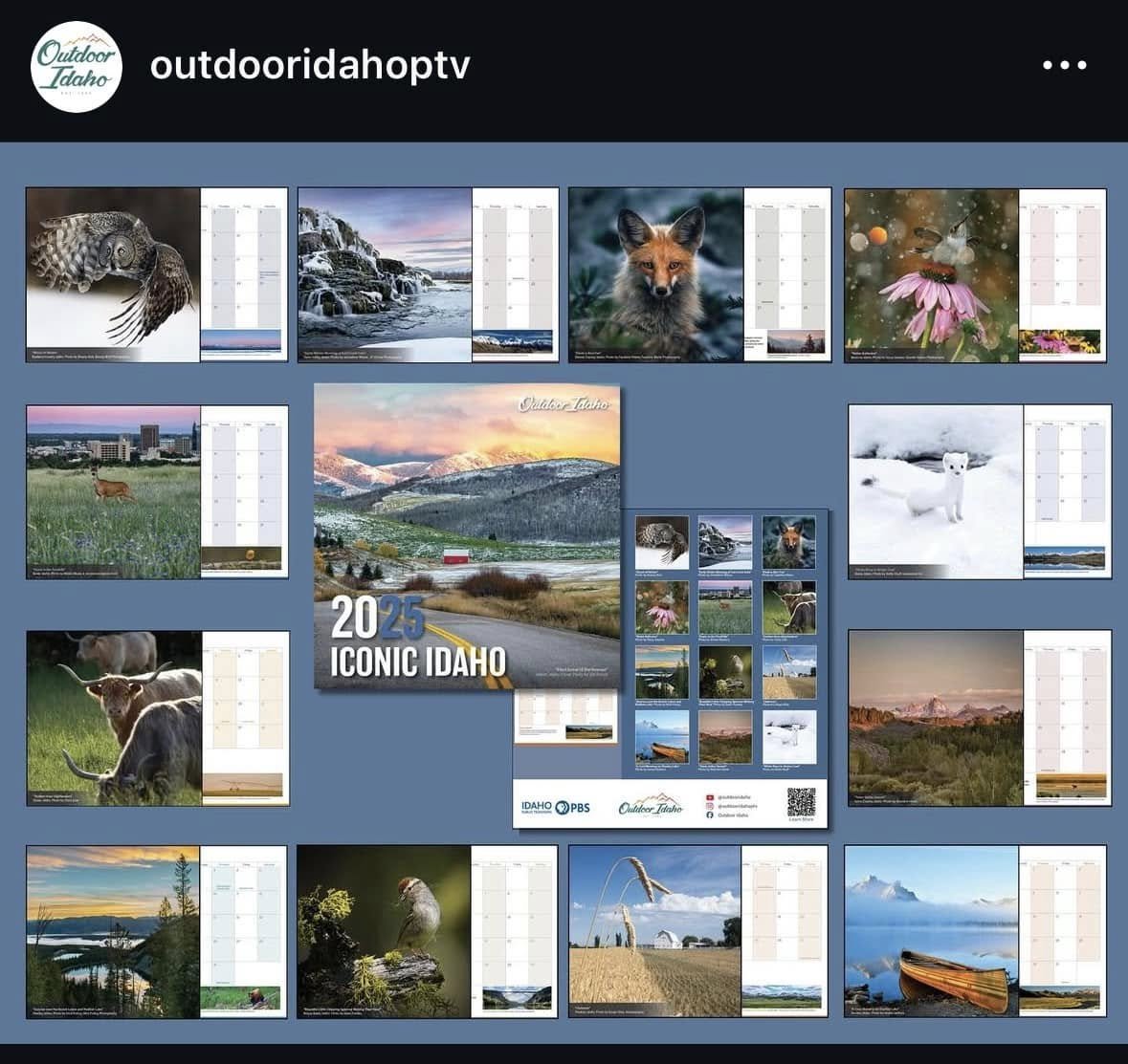 A calendar featuring iconic Idaho landscapes and wildlife, including mountains, rivers, a fox, owl, butterfly, elk, and a boat, promoting Idaho tourism for 2025.