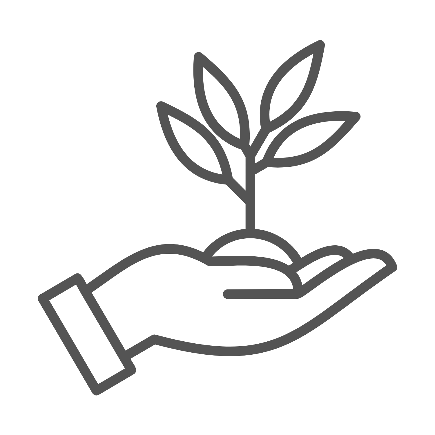 Outline drawing of a hand holding a small plant or tree with several leaves.
