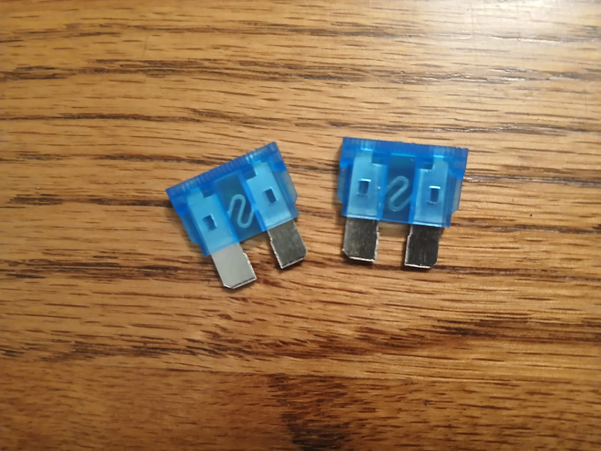 1000014973.jpg
