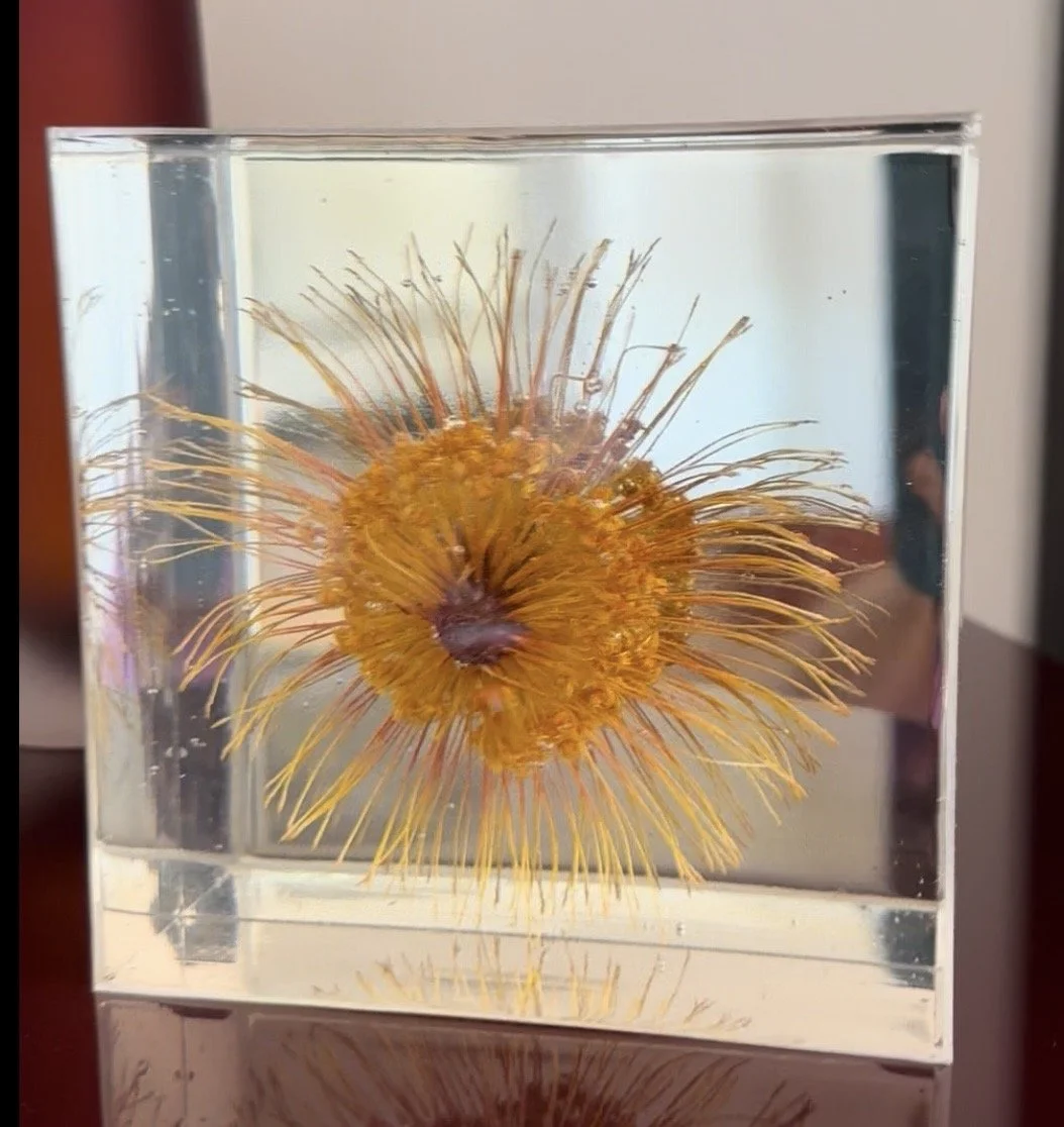 6X6 floral preservation