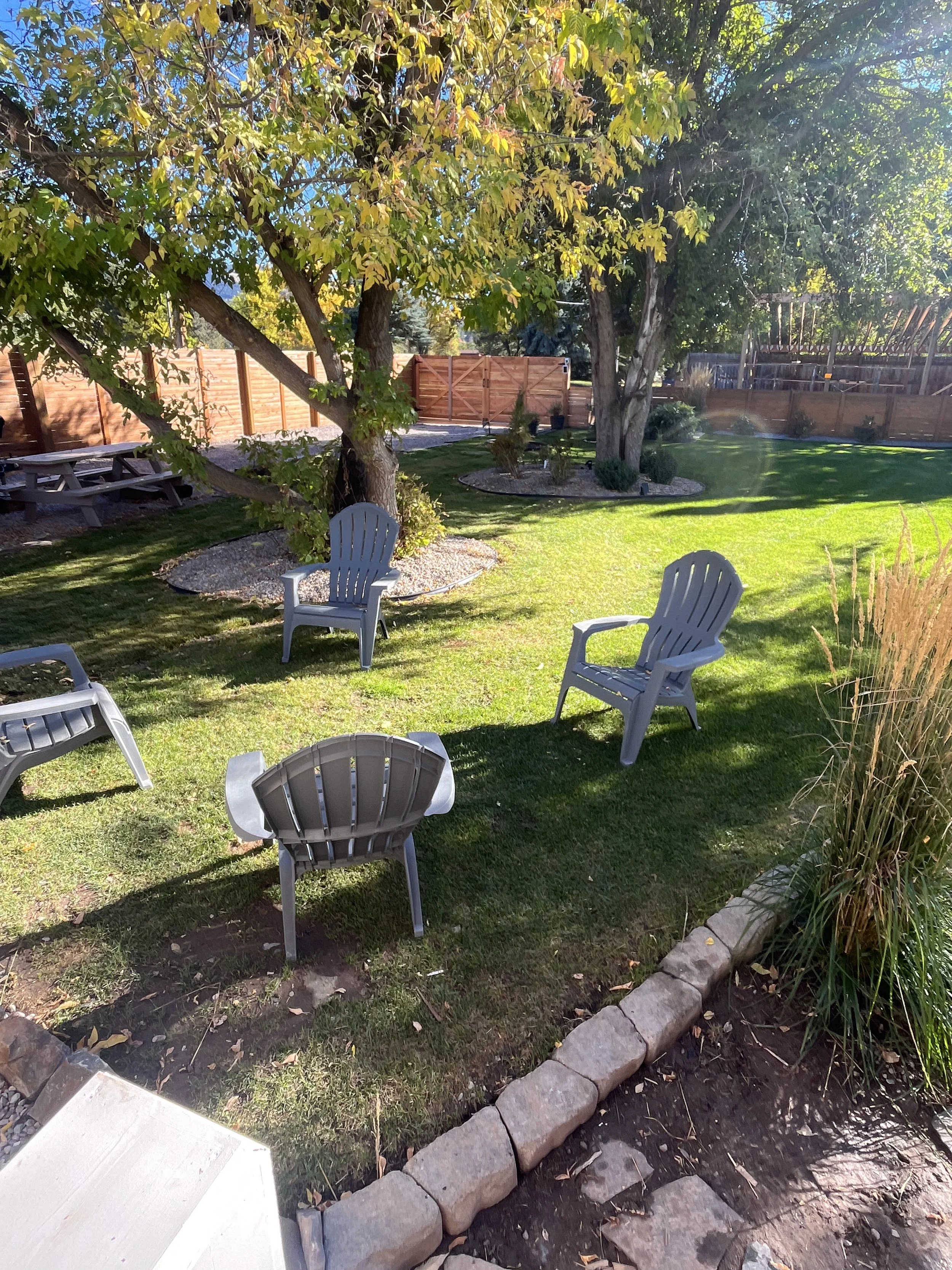 A look at a backyard with green grass, four gray chairs, a large tree with yellow and green leaves, a stone border, and a wooden fence in the background. The yard is sunny with some shadows.