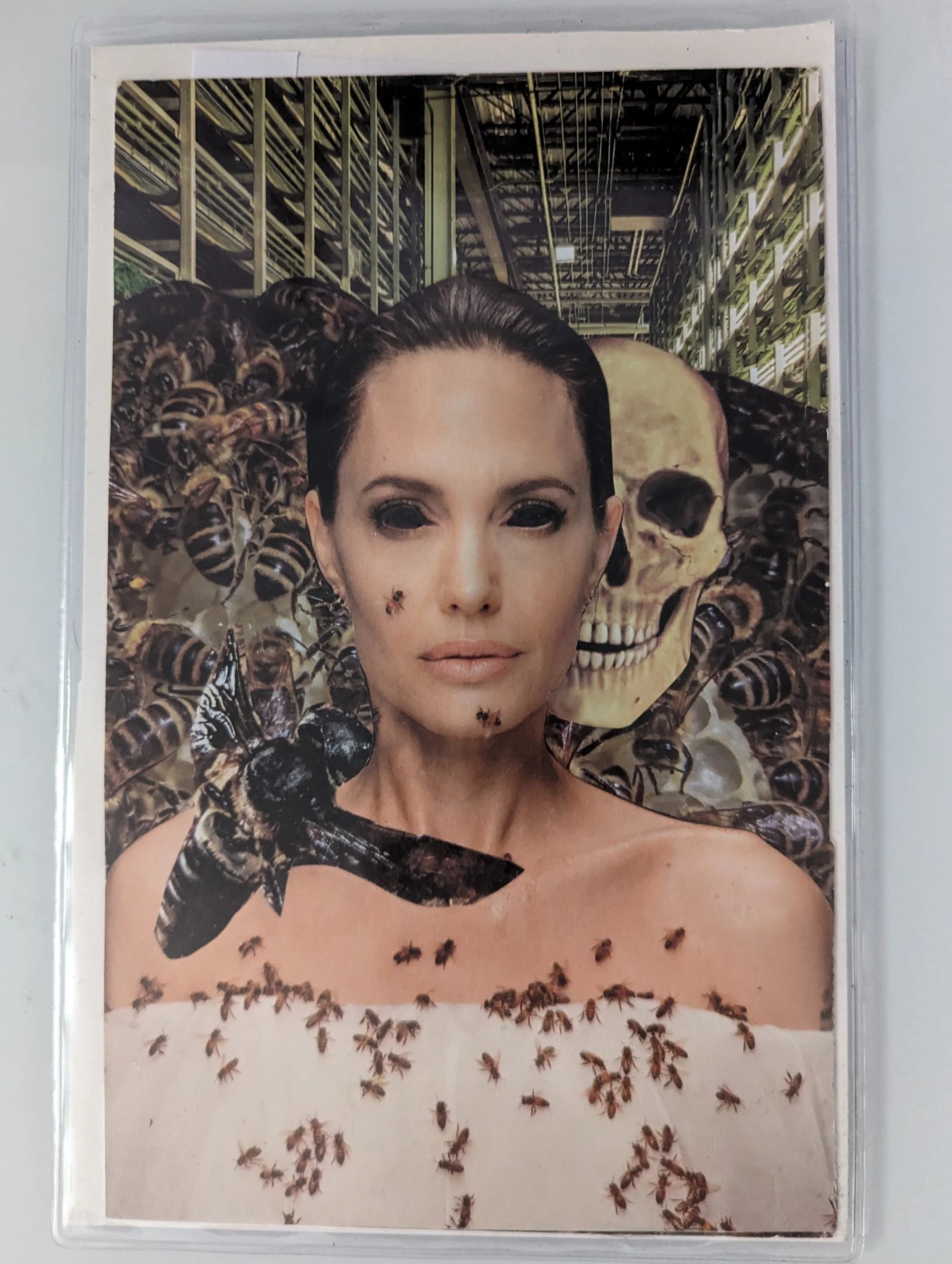 A collage featuring a woman with dark hair, surrounded by bees, a large skull, and a honeycomb background, with a structure resembling a beekeeping facility or warehouse in the background.