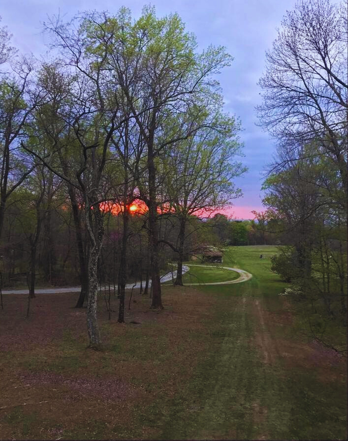 A landscape view of a park with a dirt path, tall leafless trees, and a colorful sunset sky with clouds and pinkish hues.