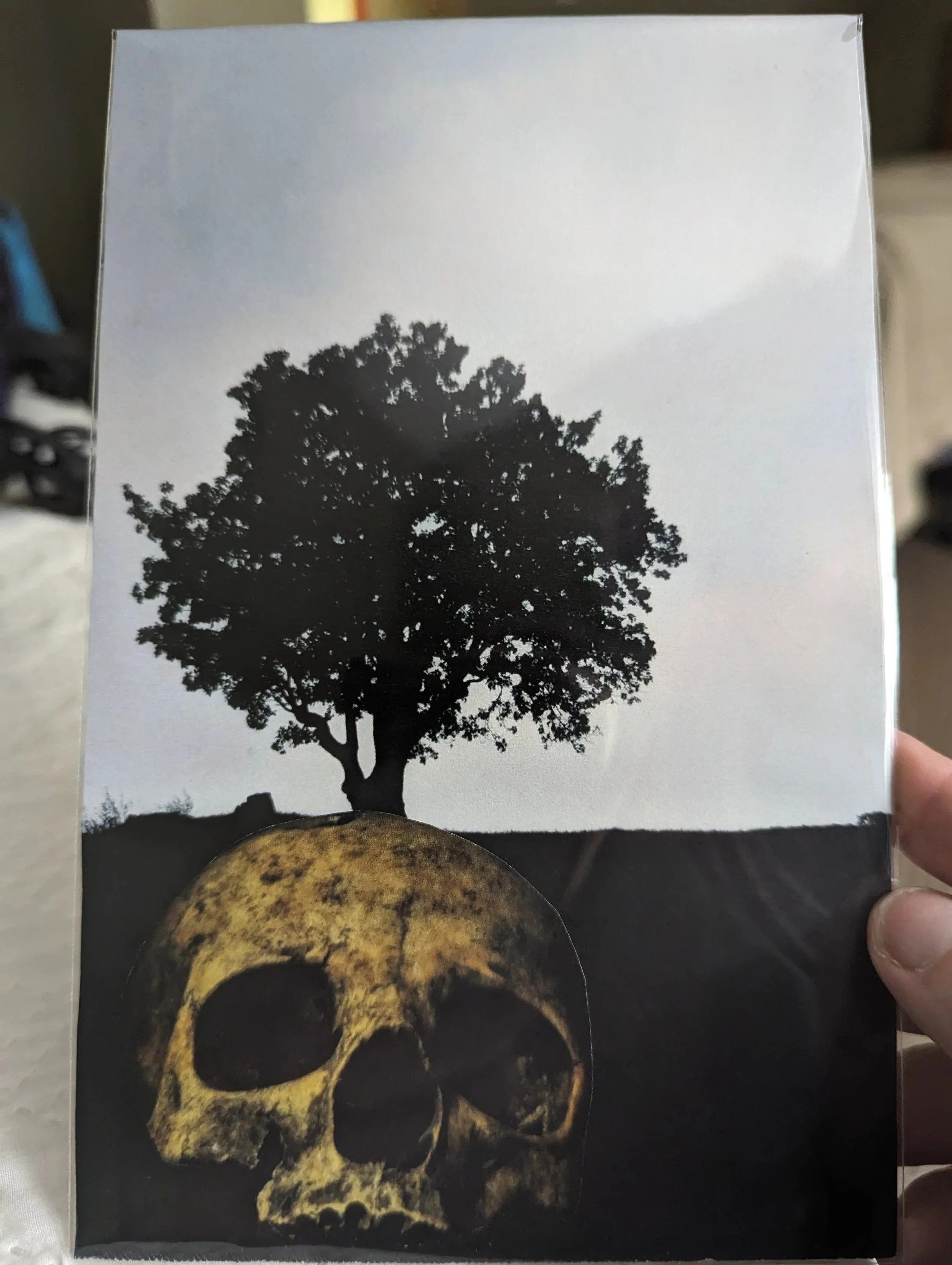 A black and white image of a tree silhouette above a large human skull, both on a book cover or poster.