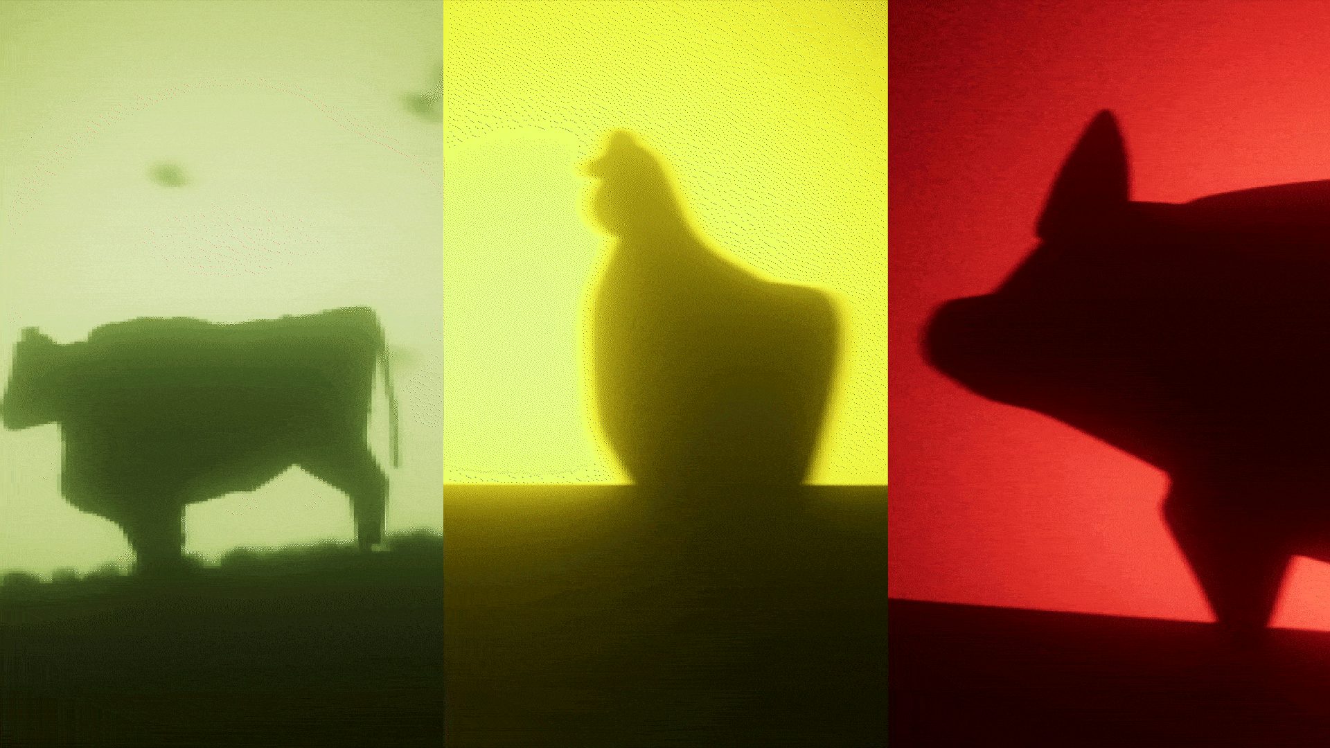 DISTORTION_V02.gif