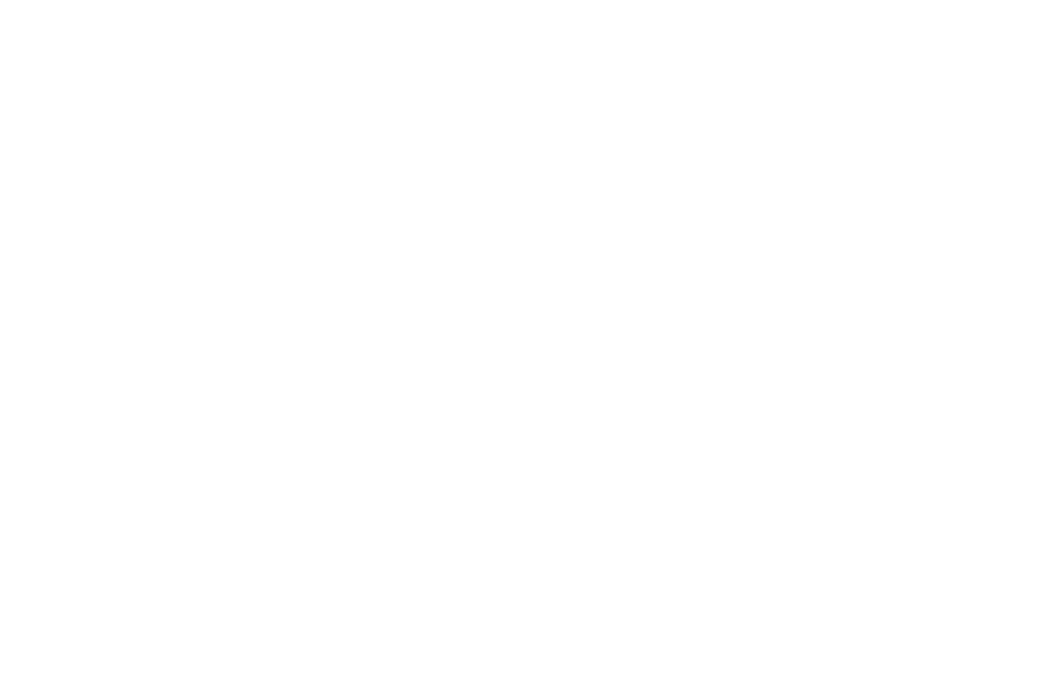 THE SPACE AGENCY