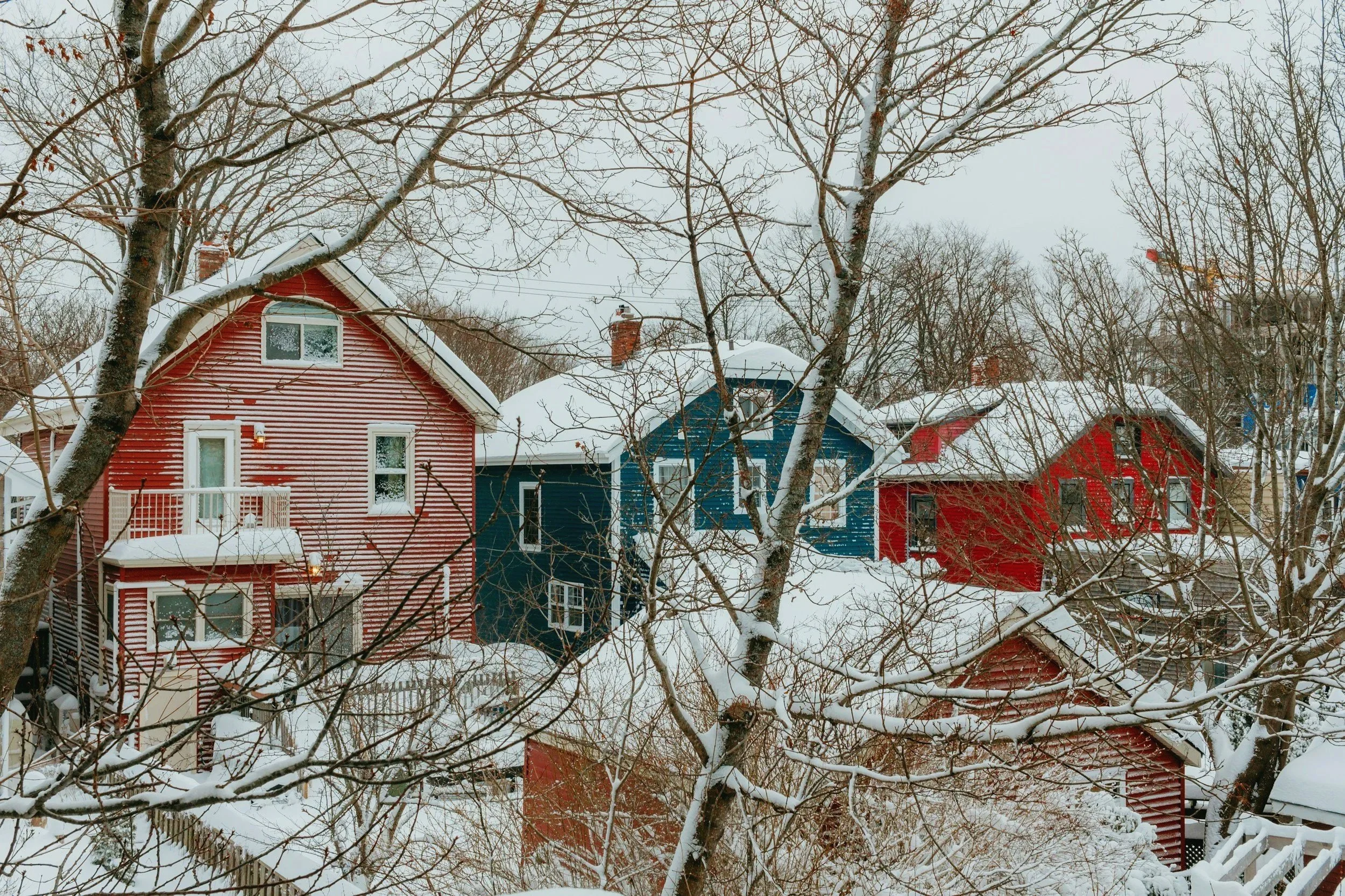 Snow-covered houses with colorful exteriors and leafless trees in winter, similar to Halifax, Nova Scotia, Canada.