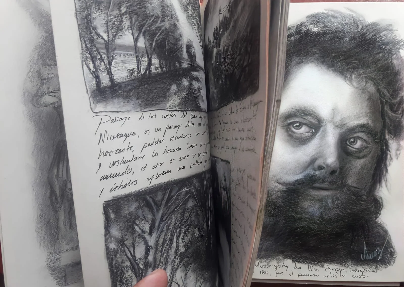 Dibujos varios / Carbón