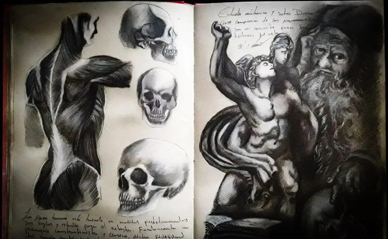 Estudios anatómicos / Carbón