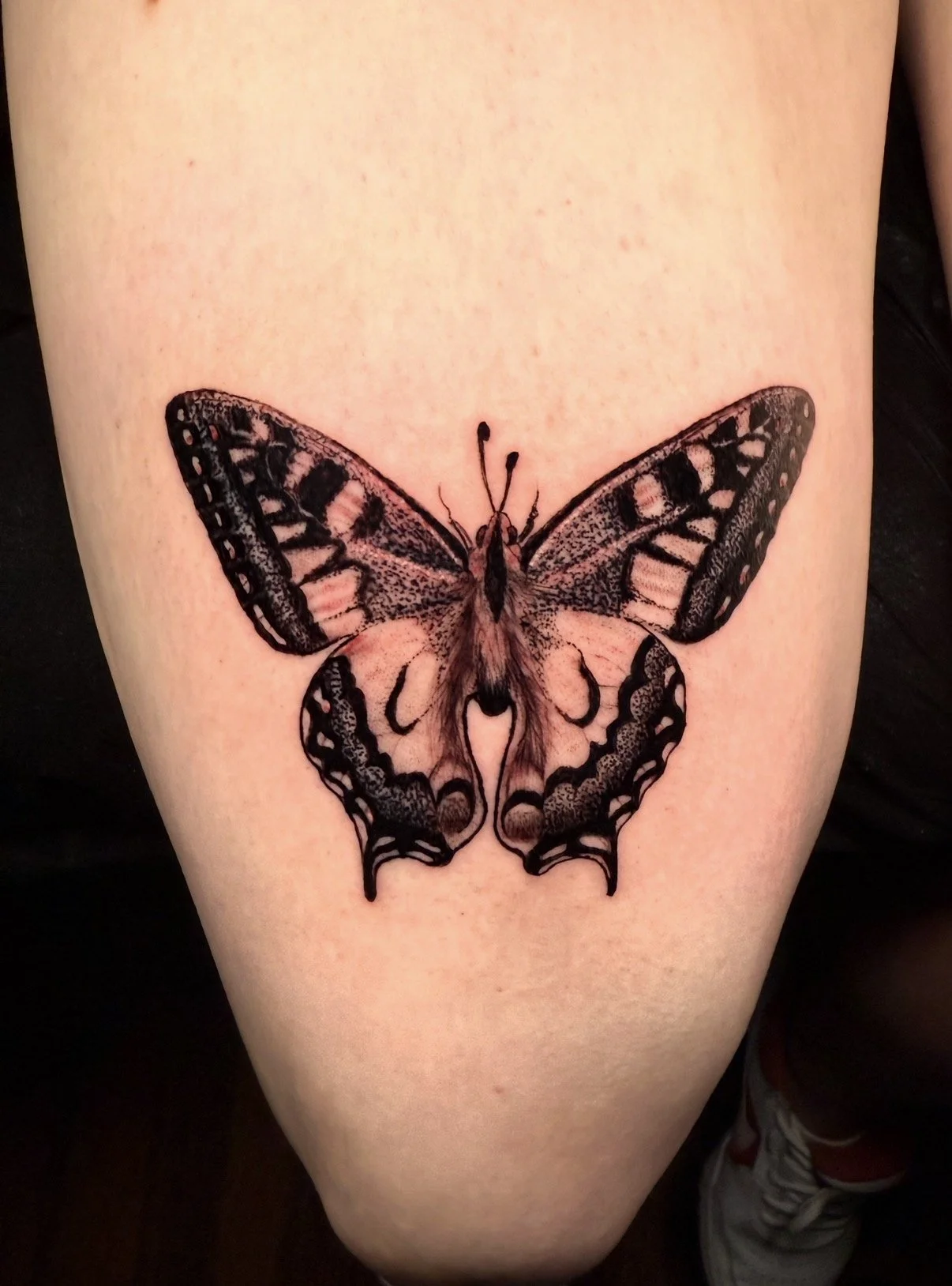 Tattoo of a butterfly with intricate black and pink line work on the upper thigh.
