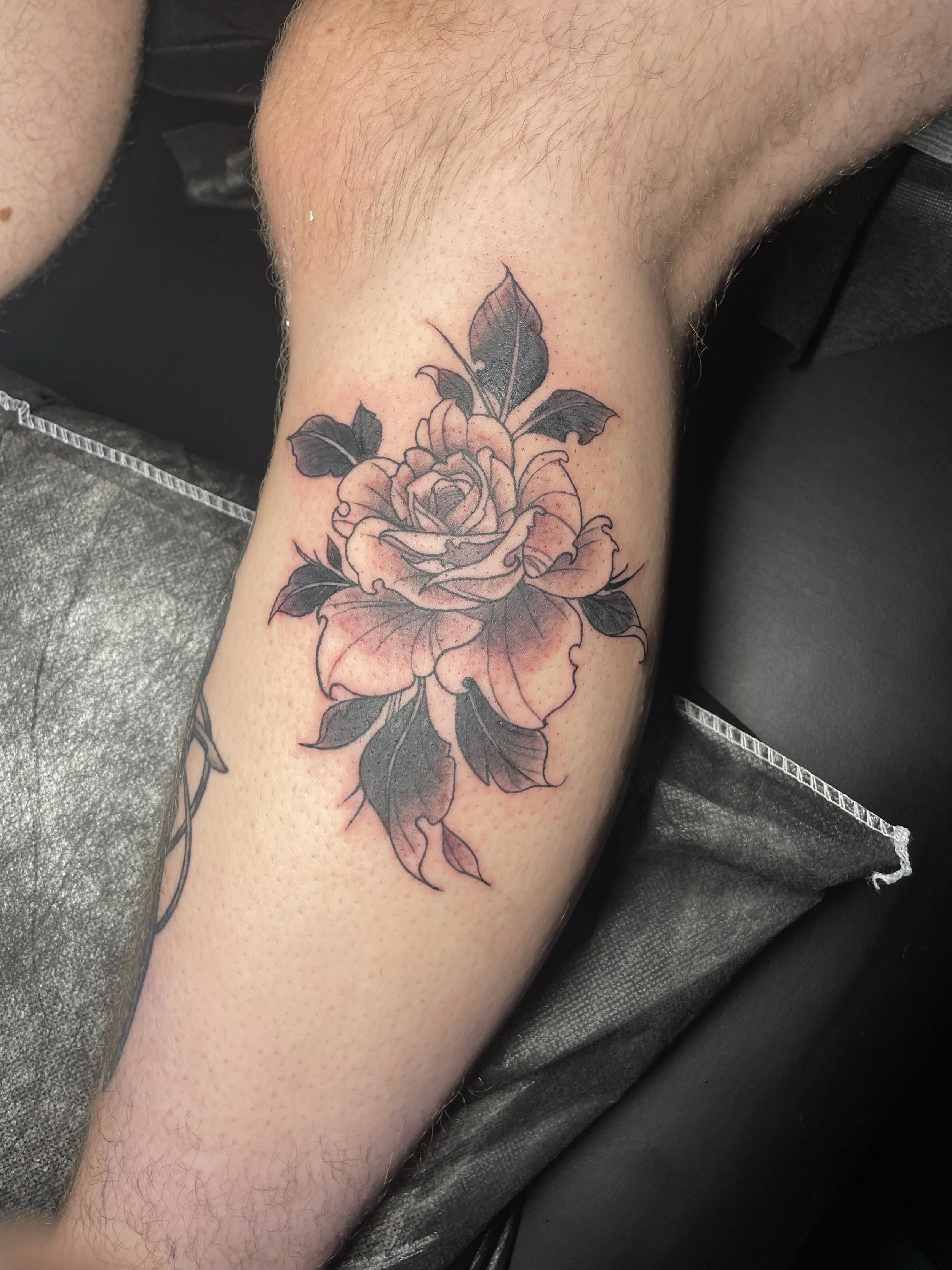 A tattoo of a detailed rose with leaves on a person's arm.