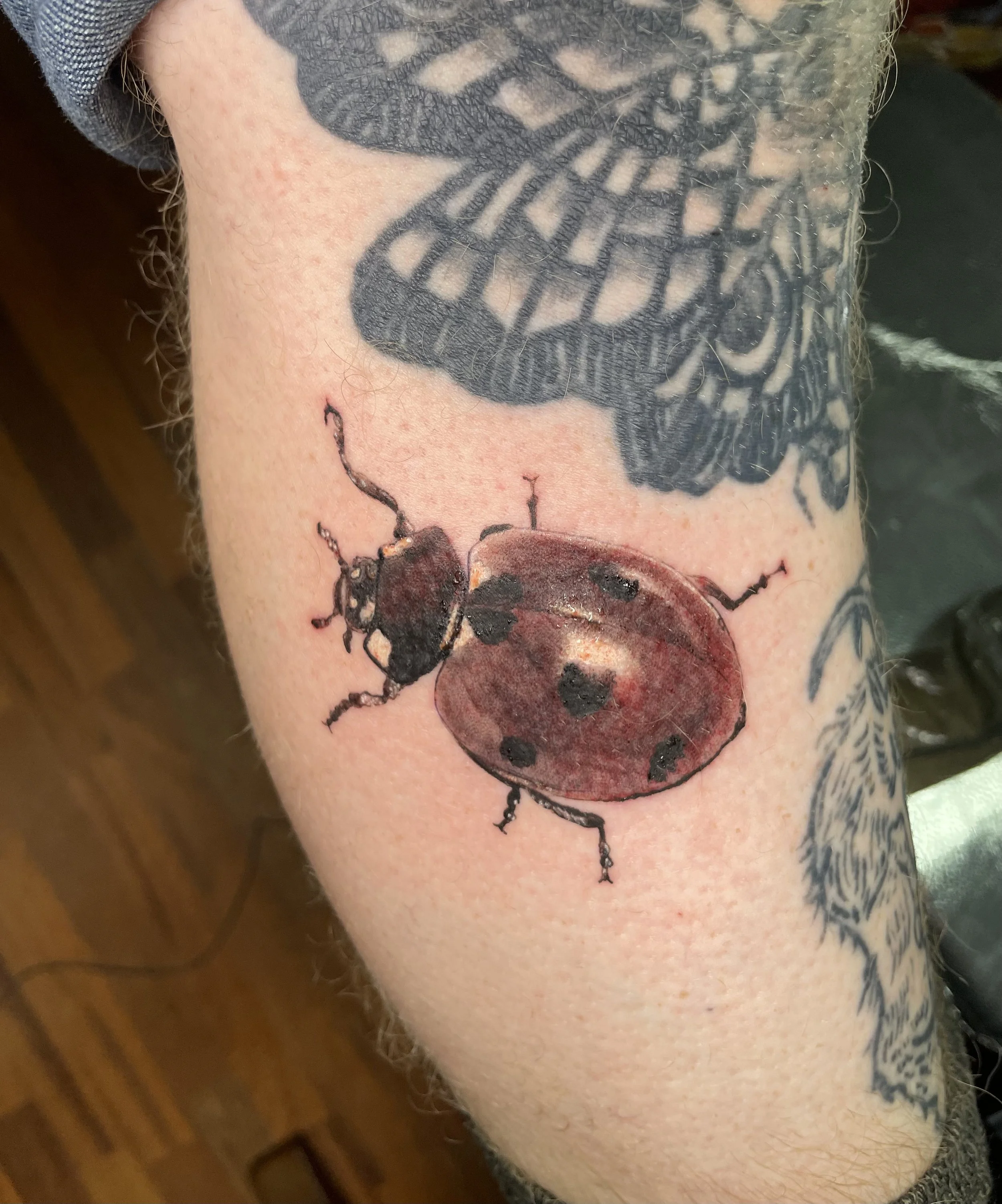 Tattoo of a ladybug on a person's arm, with part of a butterfly tattoo visible nearby.