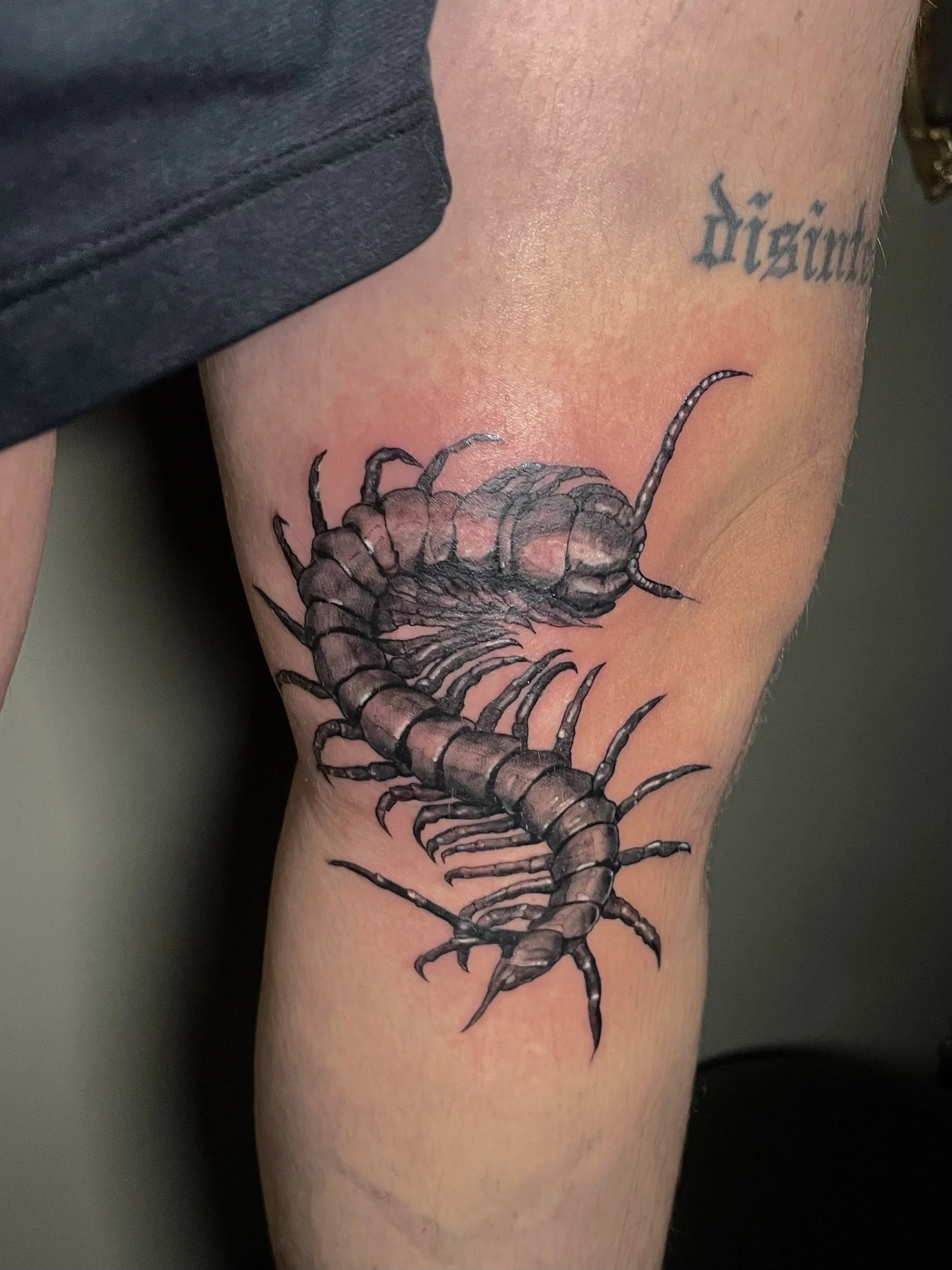 A detailed black and gray tattoo of a centipede on a person's thigh.