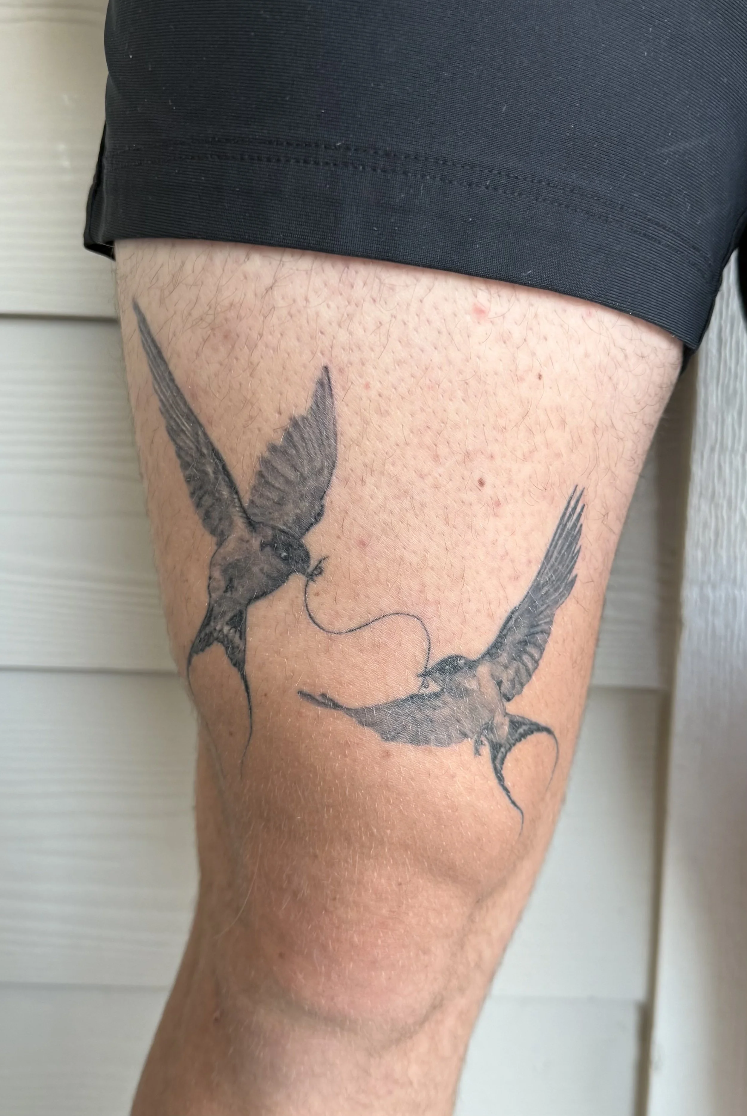 Tattoo of two flying birds with long, curved tail feathers on a person's thigh.