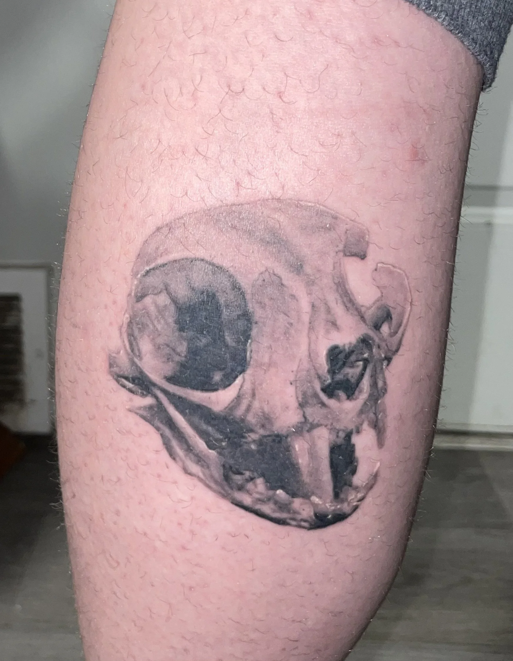 A tattoo of a realistic human skull on a person's thigh.