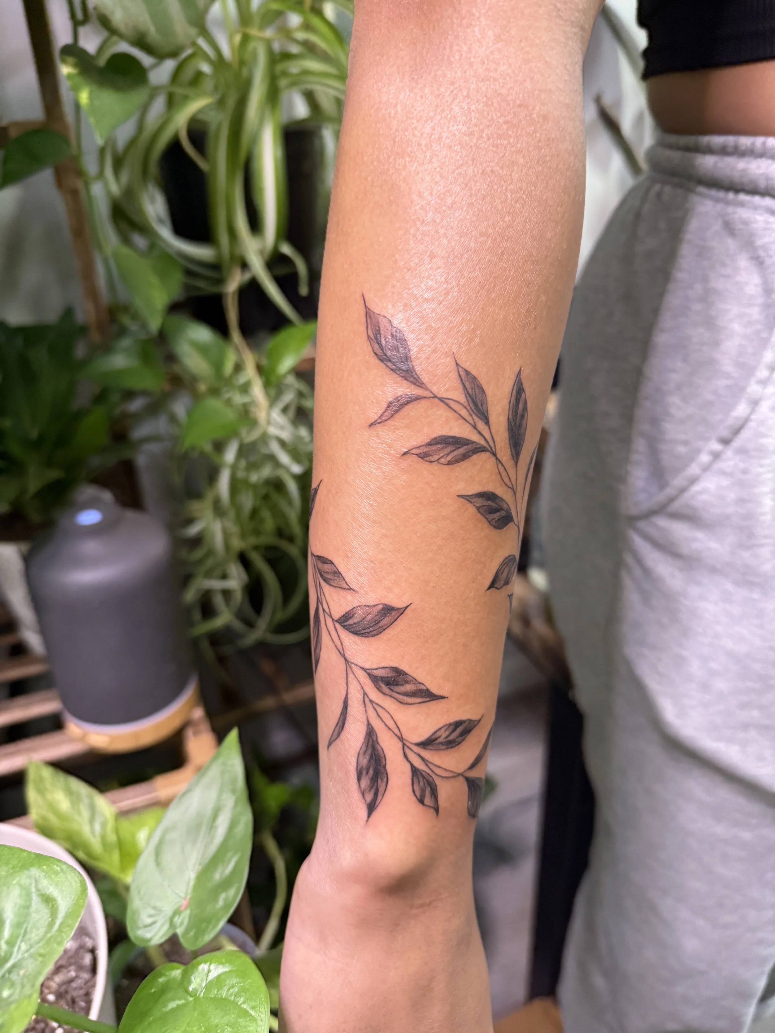 A person's forearm with a black outline tattoo of a leafy branch. The person is wearing gray sweatpants and a black top, standing near green houseplants.