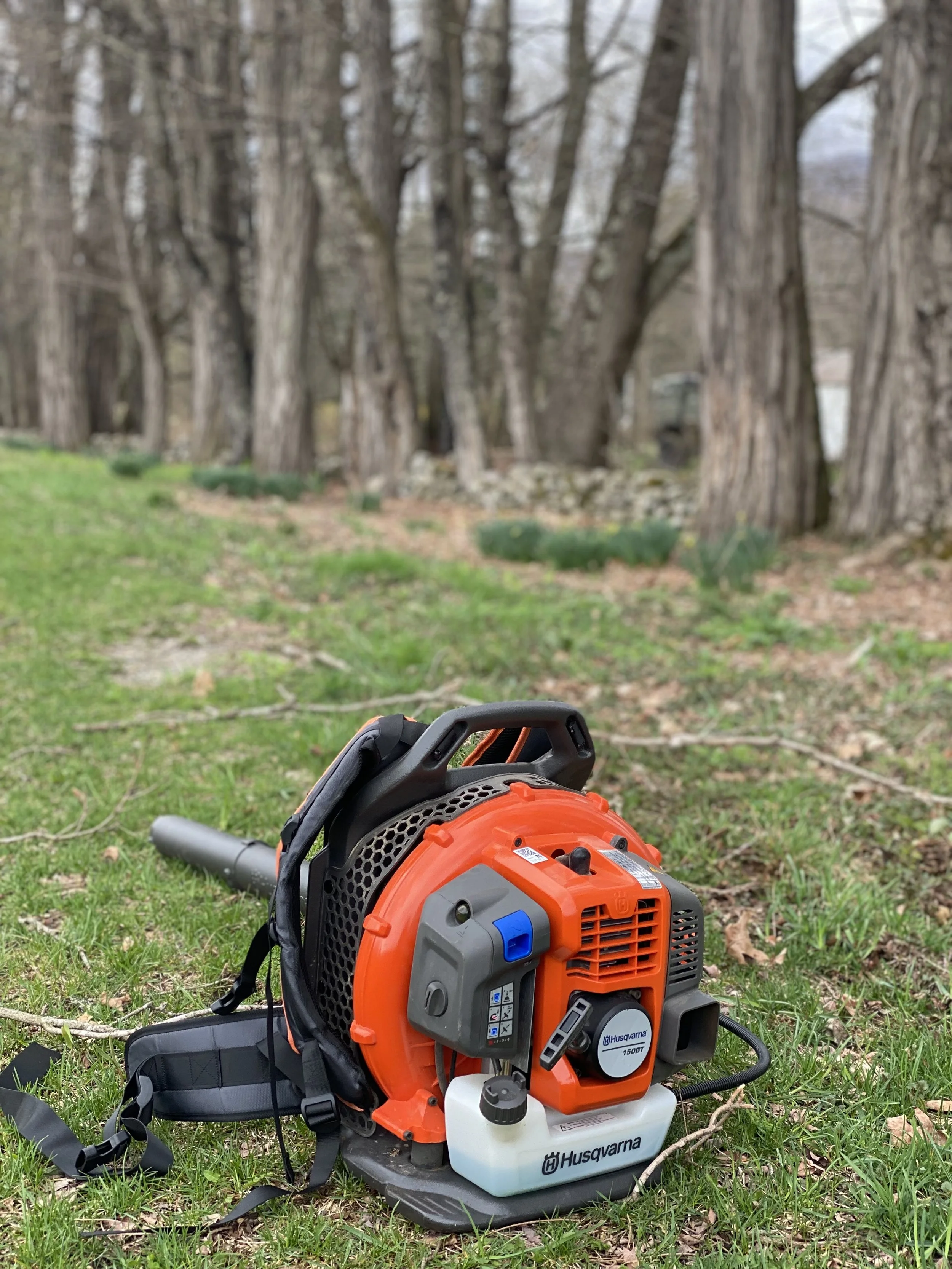 Spring and Fall Clean-ups