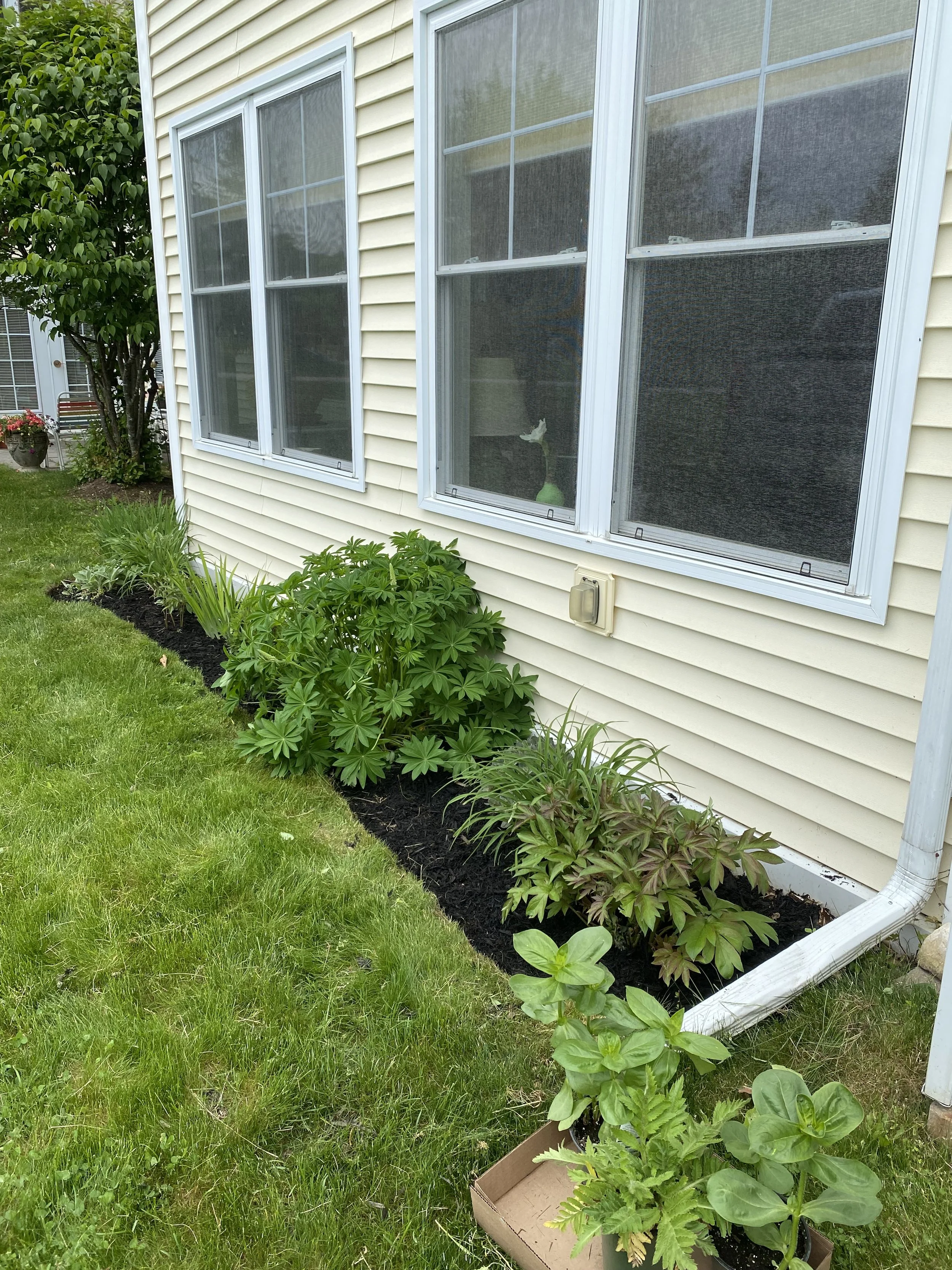 Garden Bed Maintenance