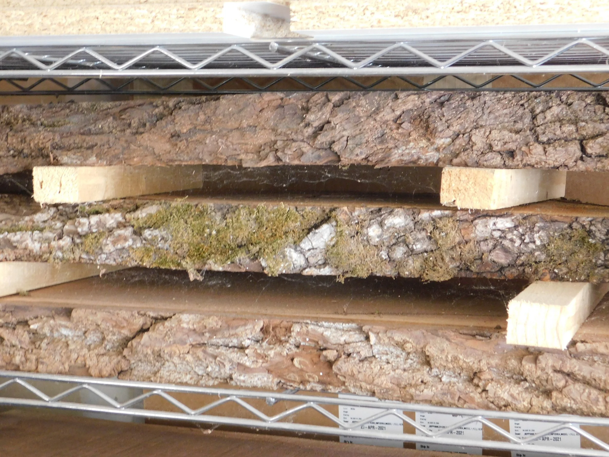 Stack of wooden and bark samples stored on a metal wire rack.