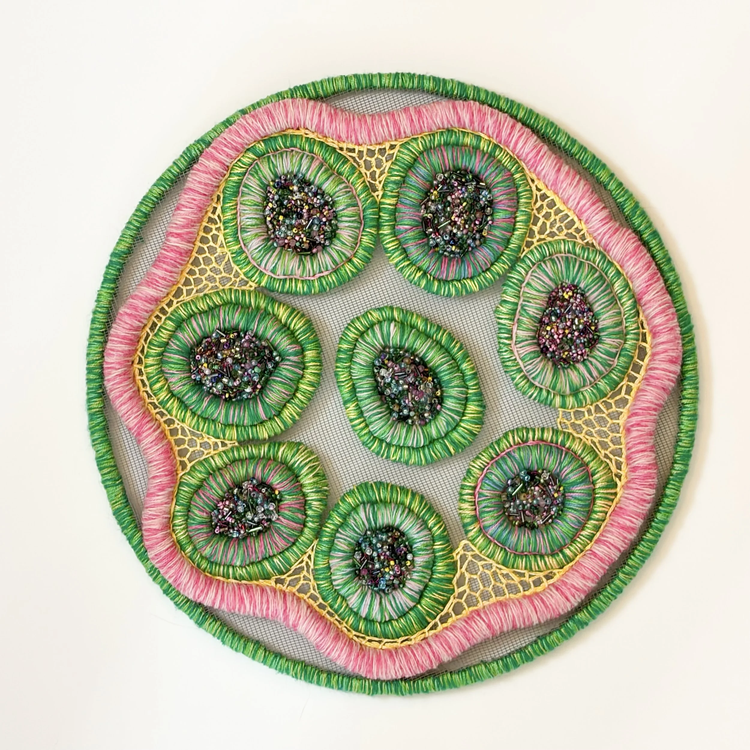 Rabies Cross-section 2024 14"