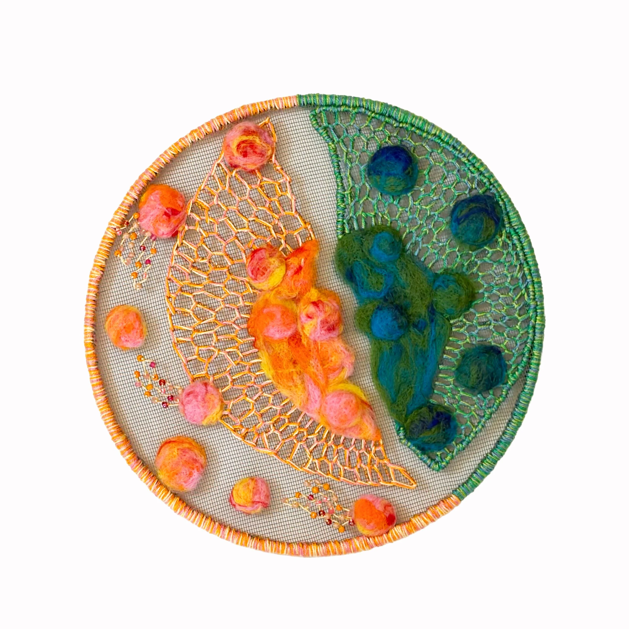 Mast Cell 
2024 12"