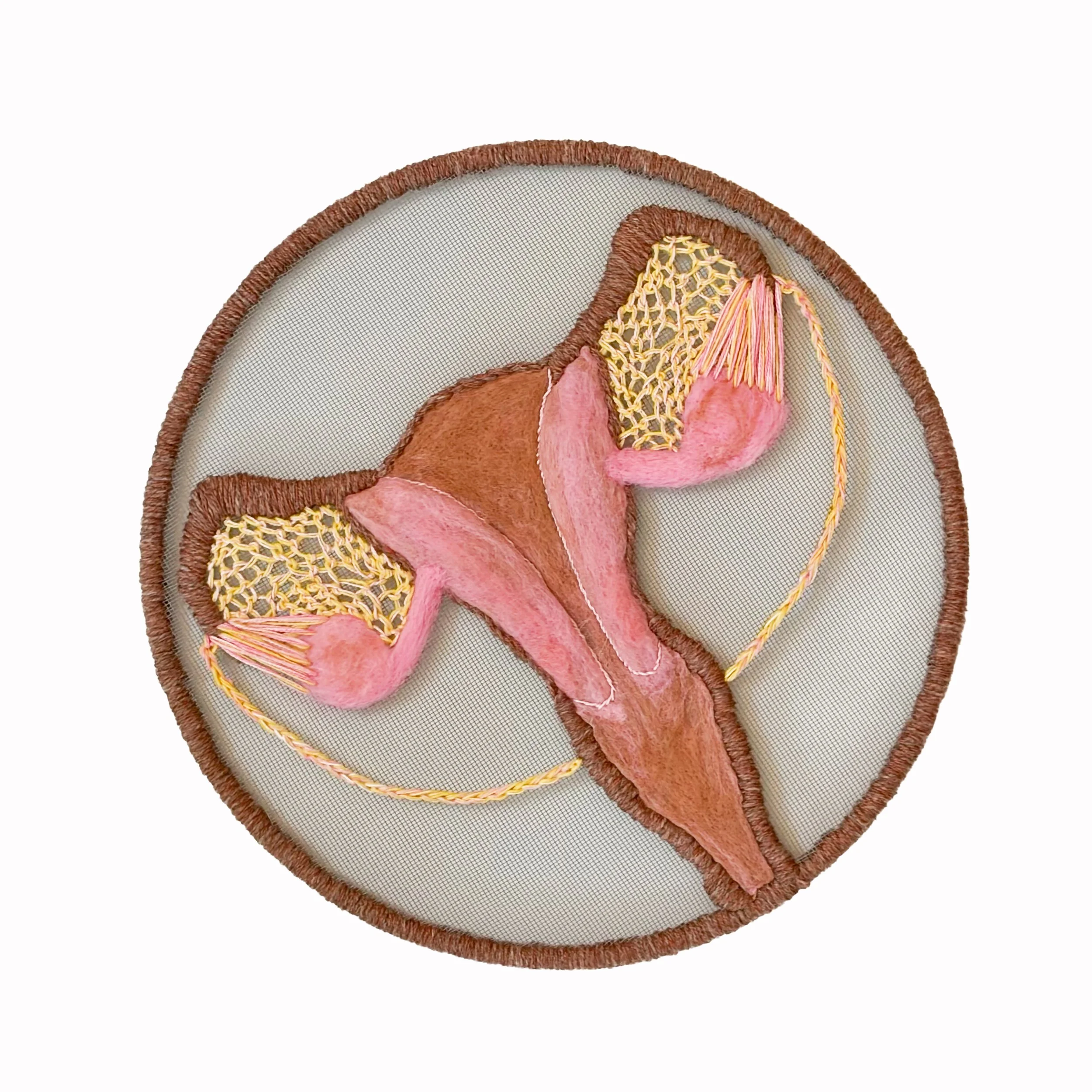 Female Reproductive System 
2025 14"