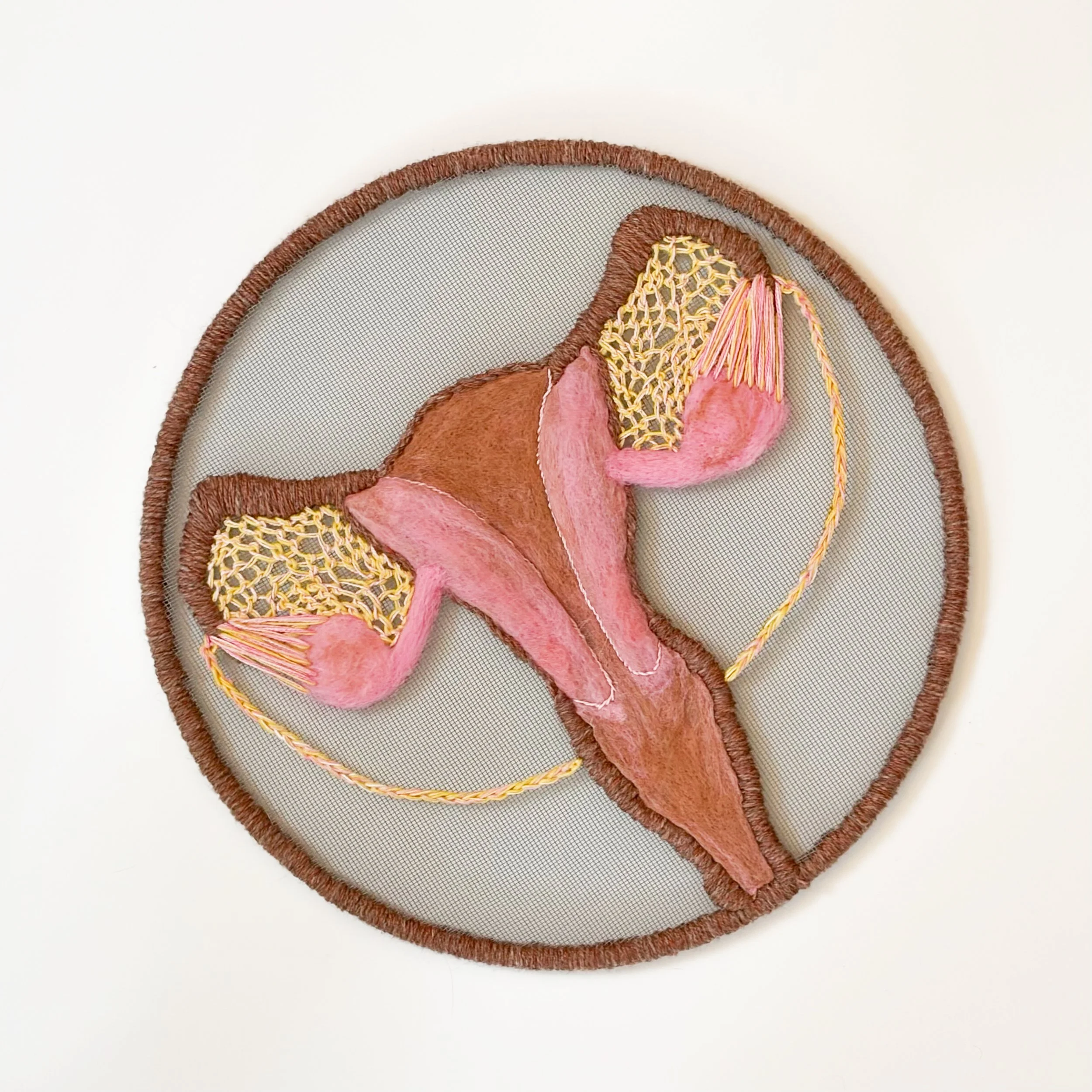 Female Reproductive System 2025 14"