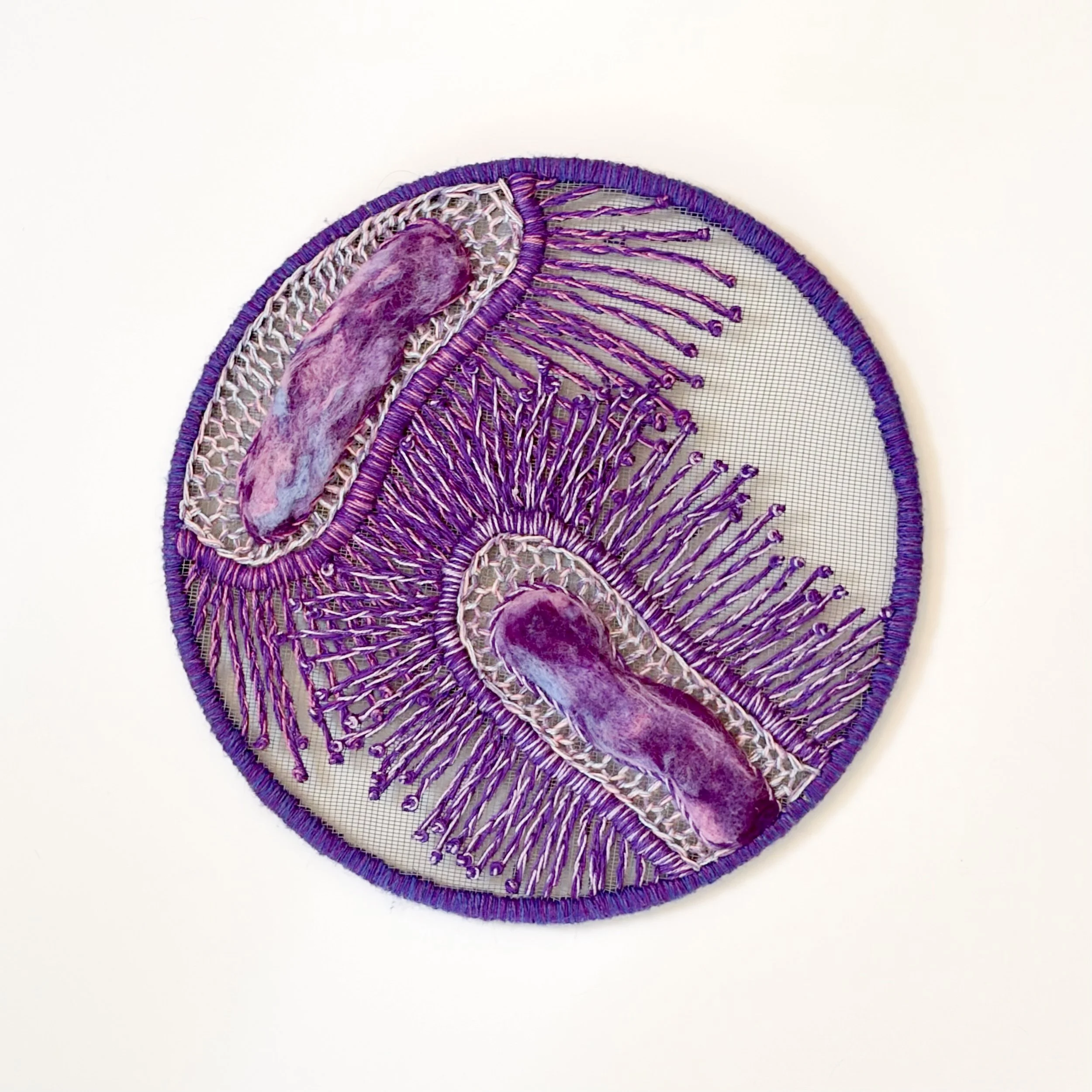 Smallpox   2025   12"