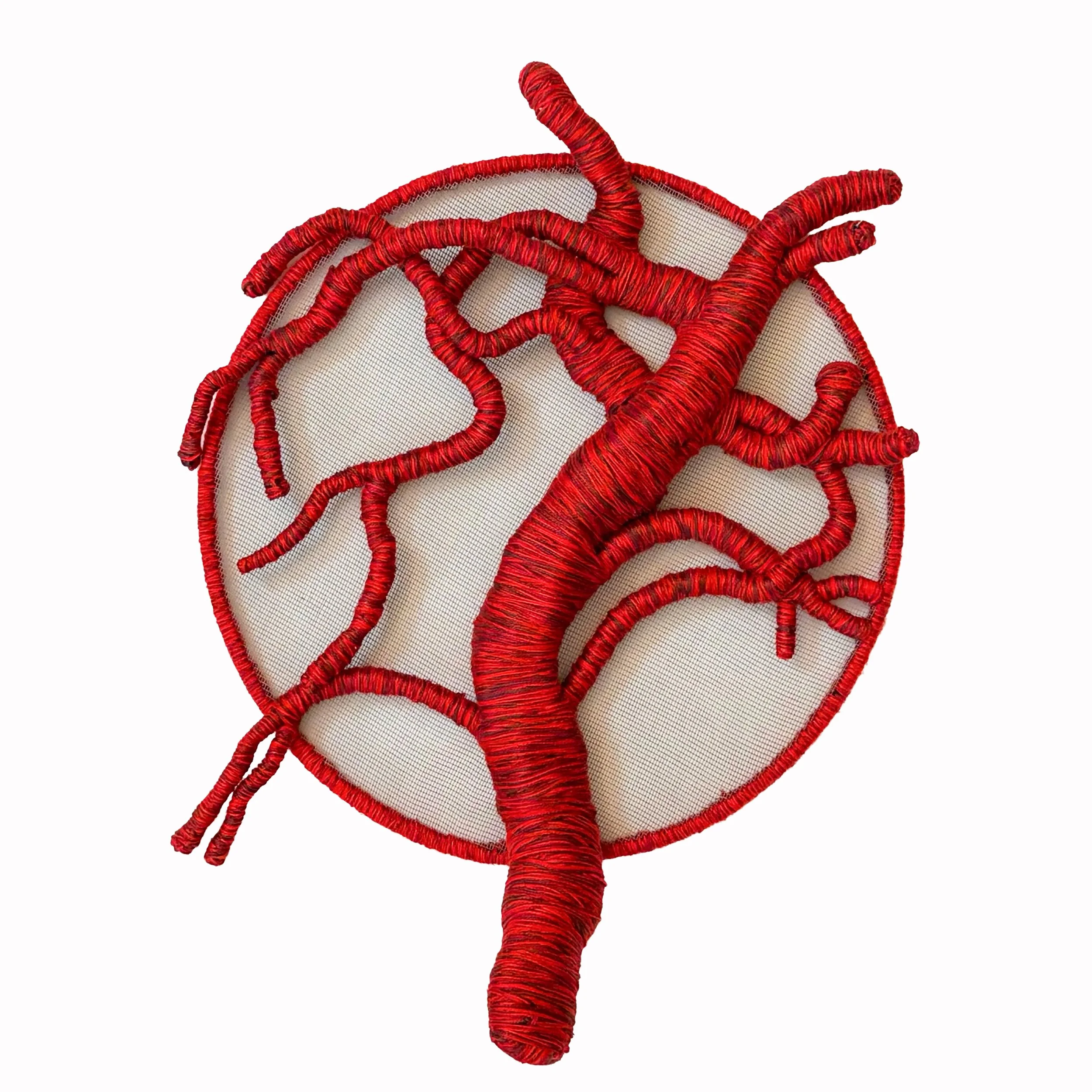 Aorta 
2025 14"