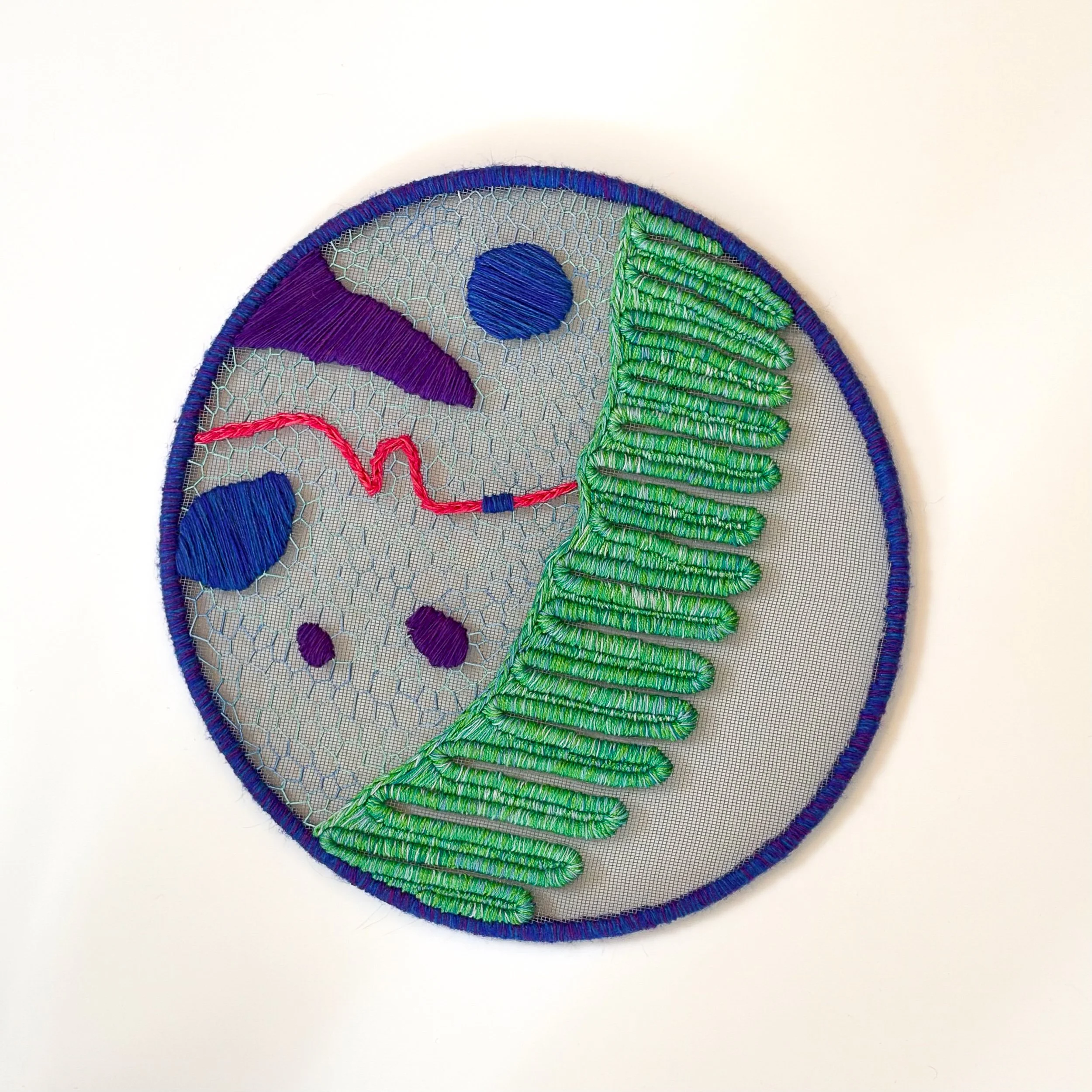  Small intestine villus  2026 14"