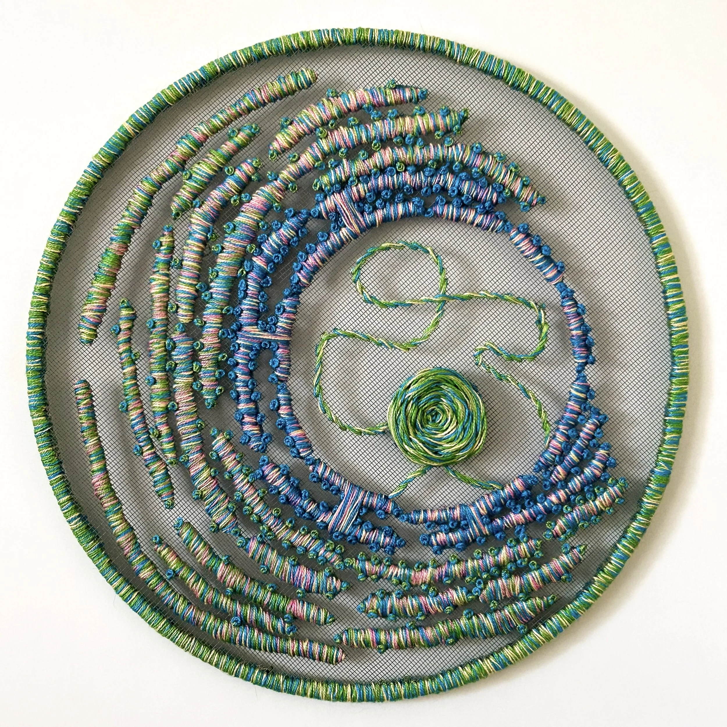 DNA Cross Section  
2024  14"