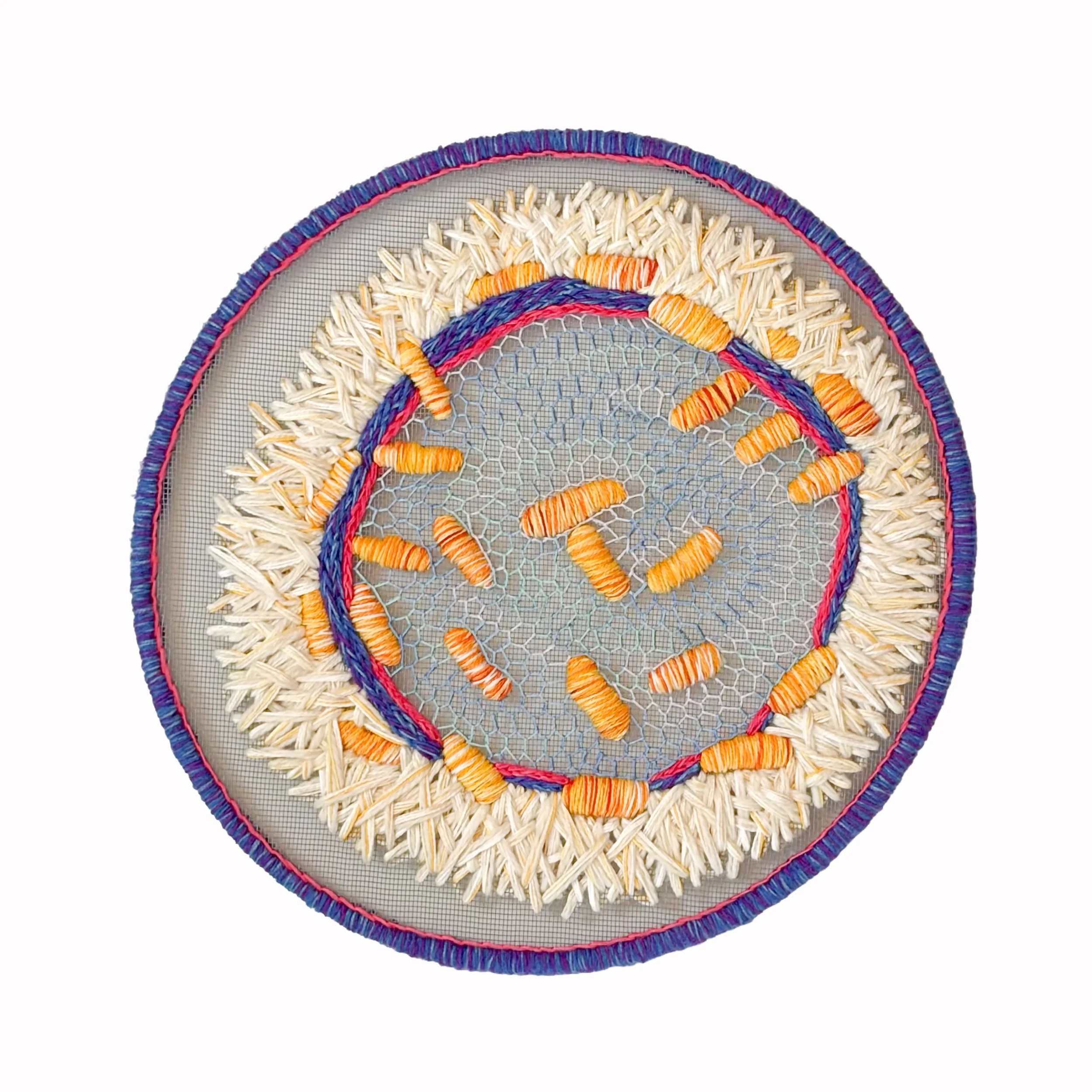 Leukemia 
2025 12"