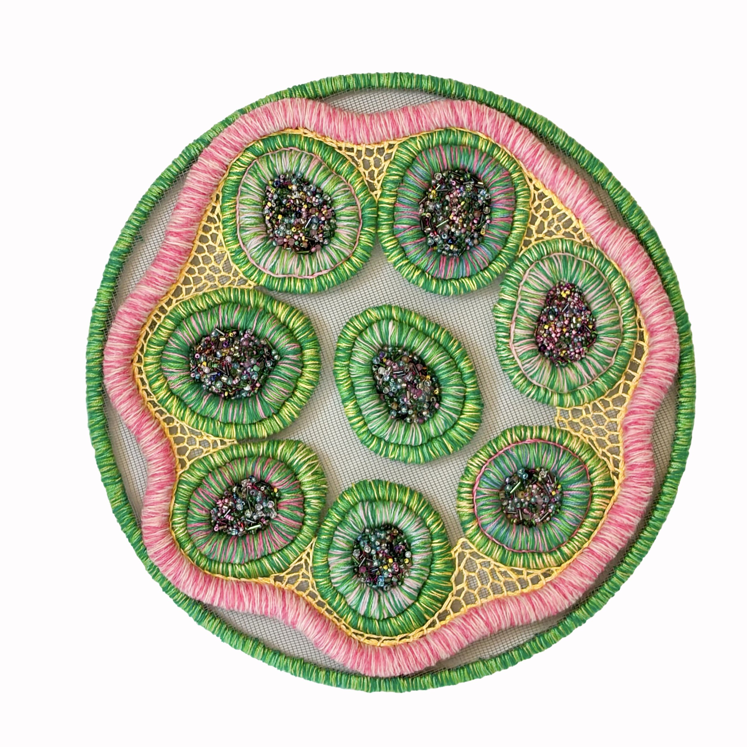 Rabies Cross-section 
2024 14"