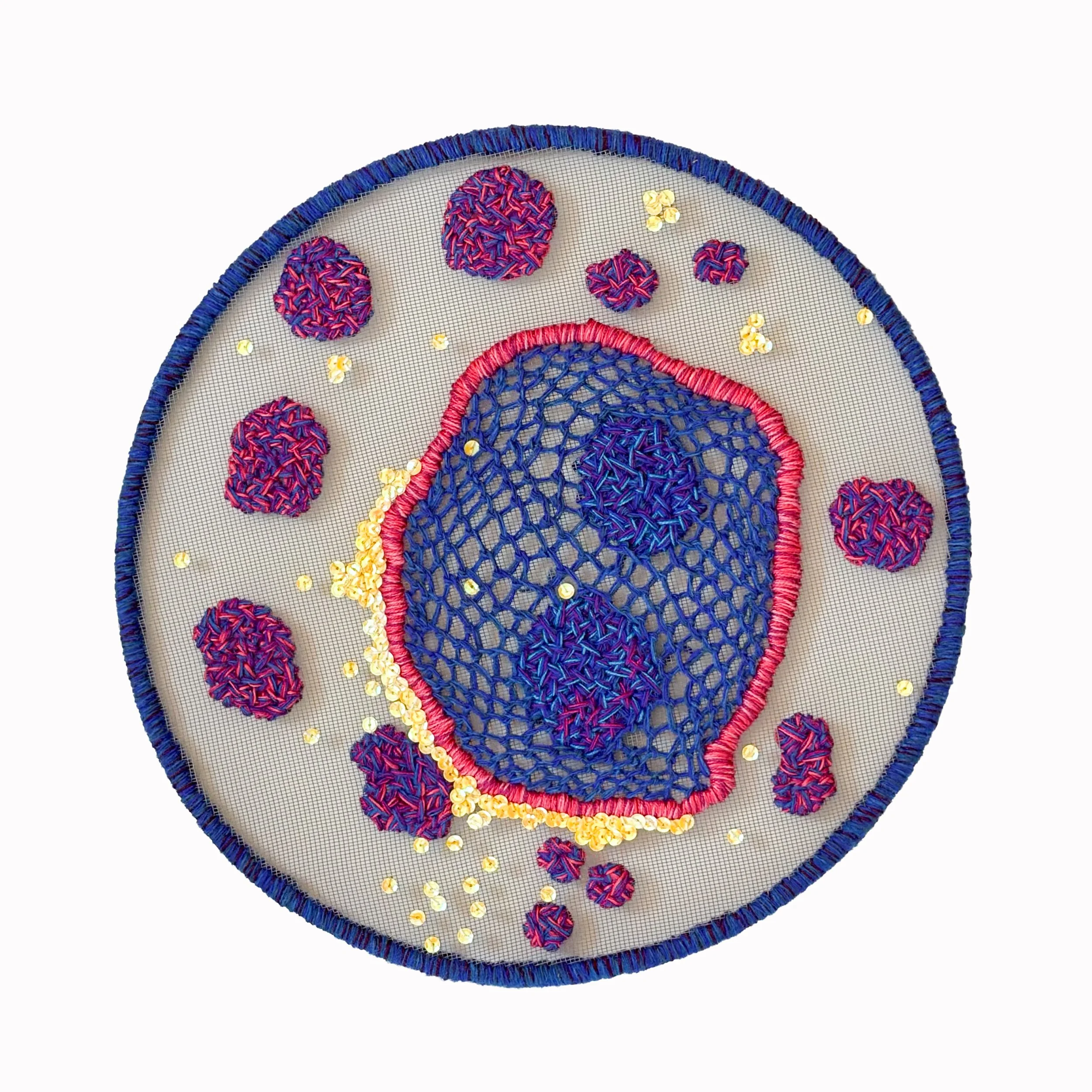 HIV 
2025 14"