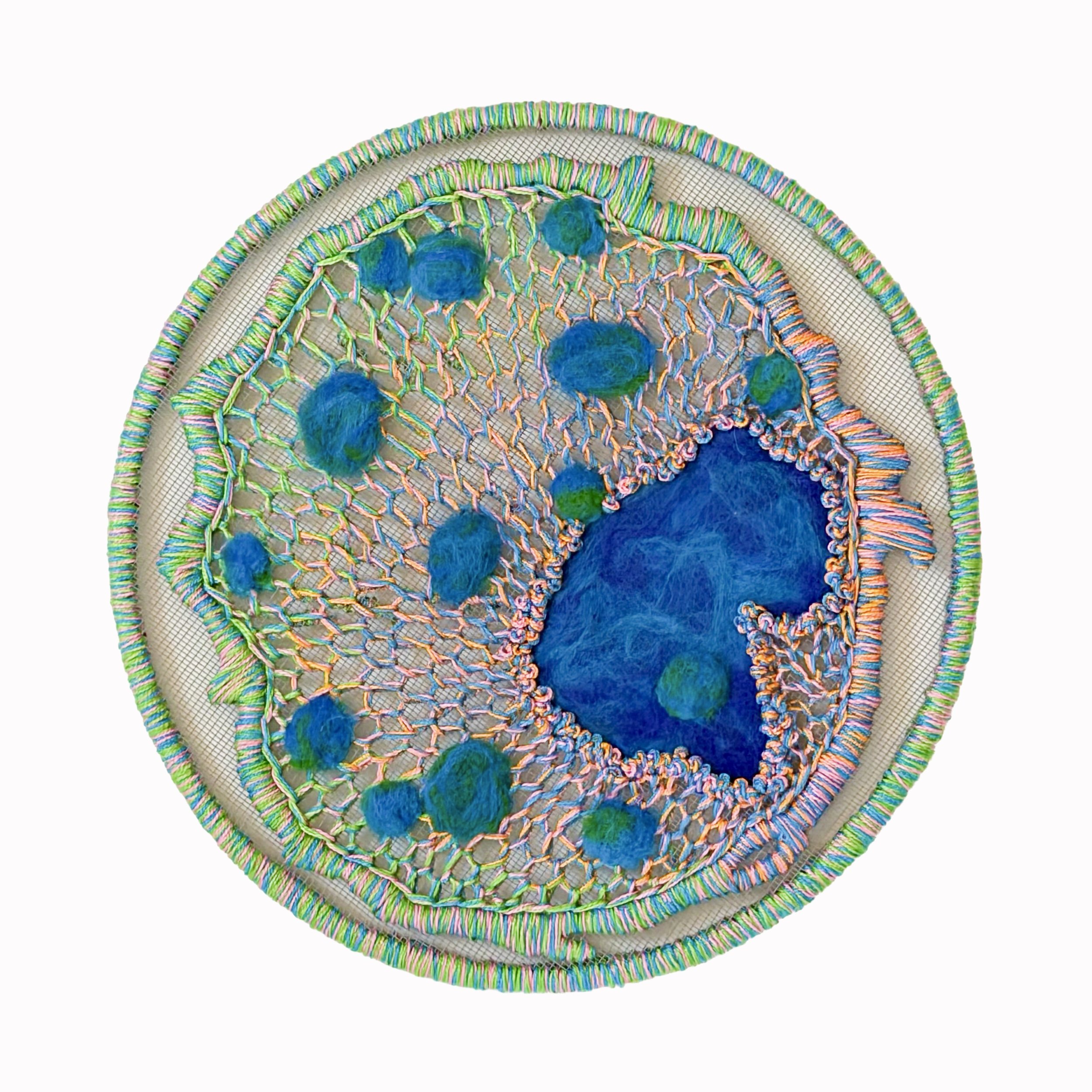 Eosinophil 
2024. 12"