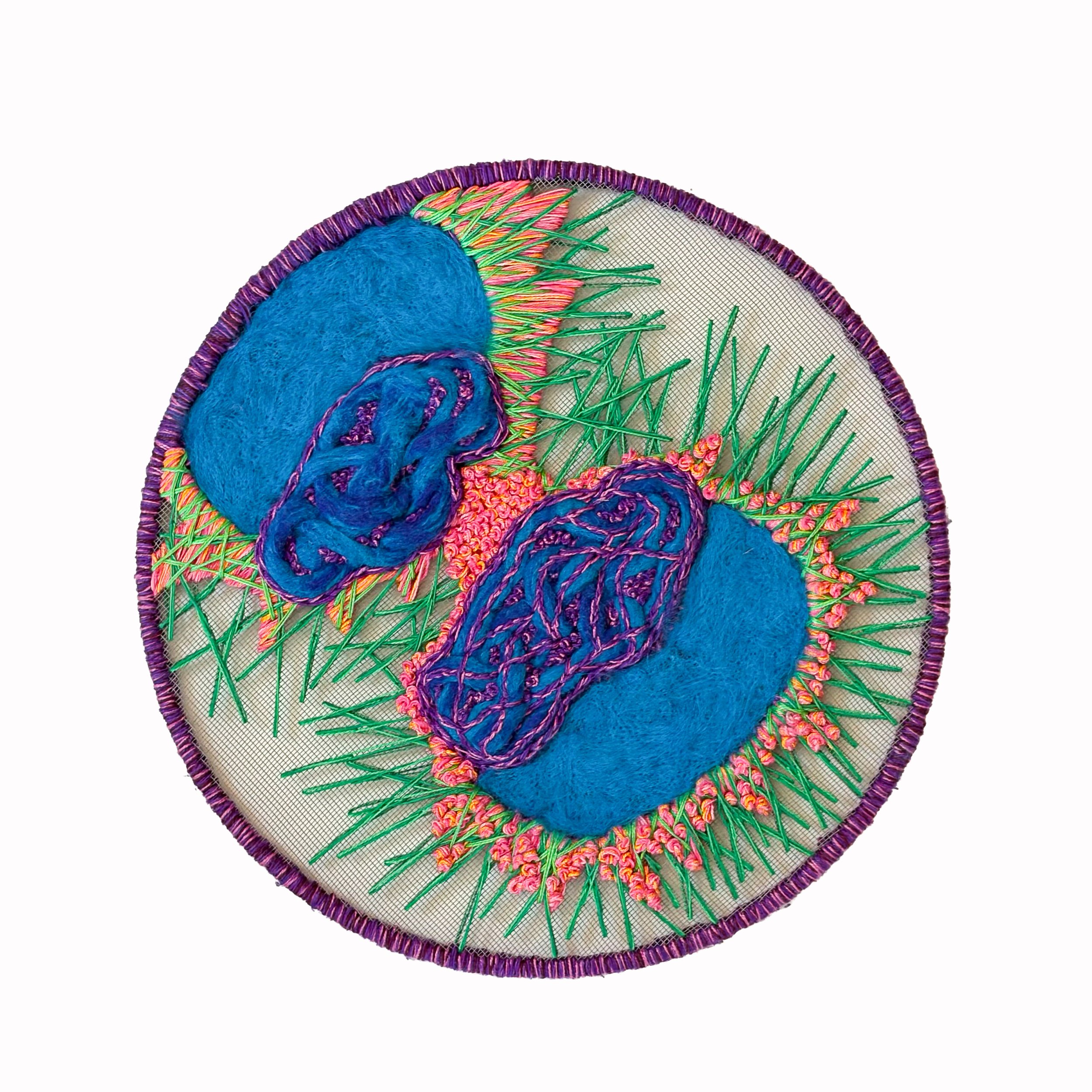 HeLa Cells 
2025 14"