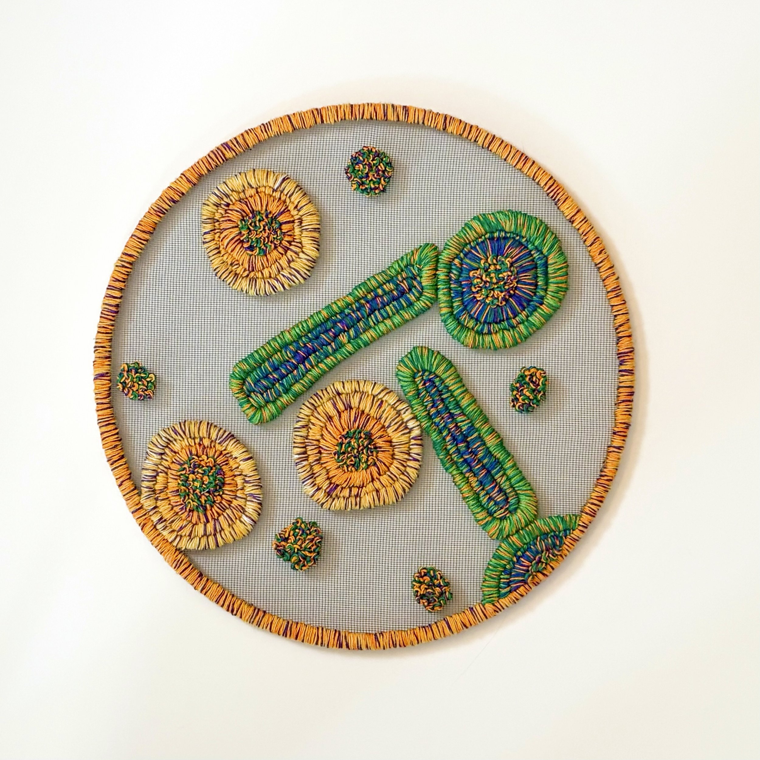 Hepatitis B 2025 14"