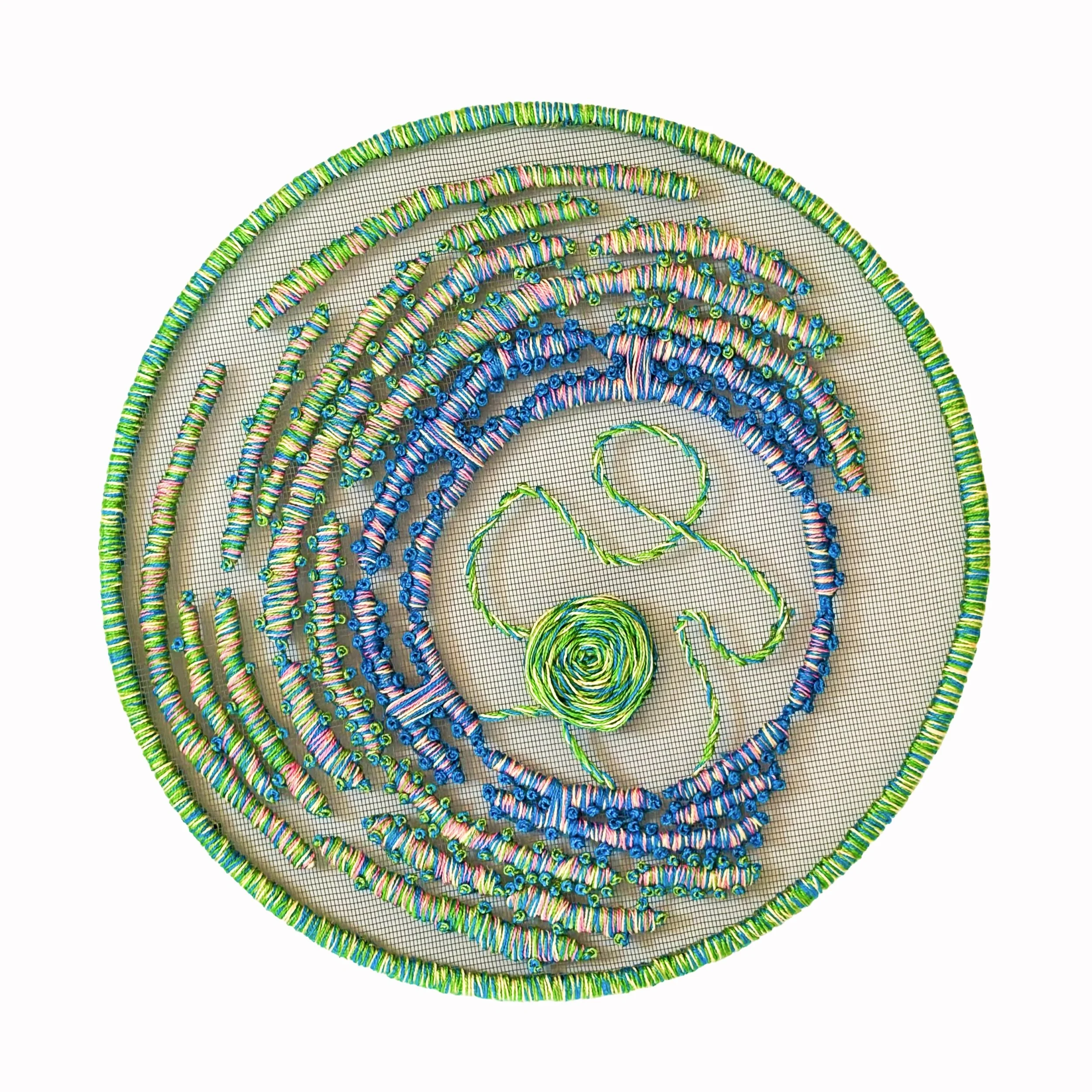 DNA Cross Section  
2024  14"