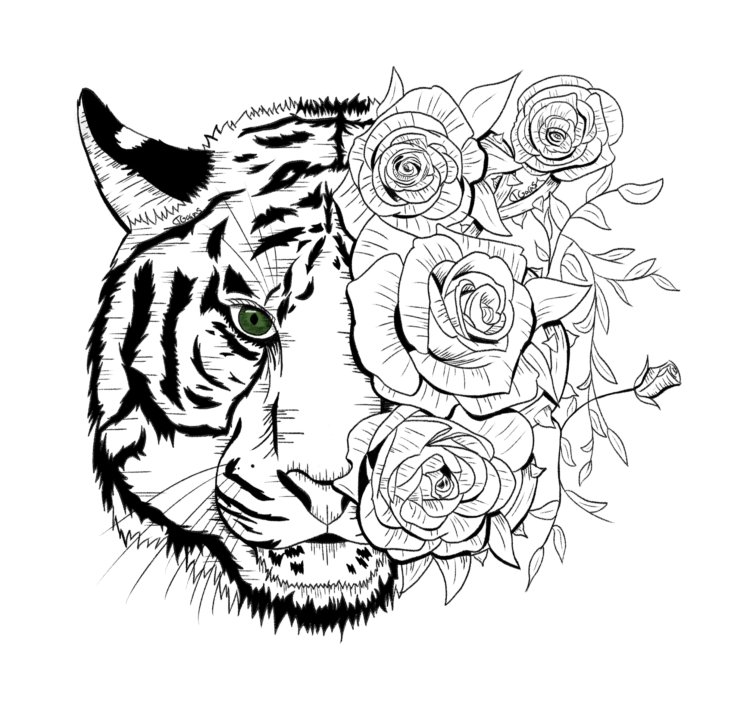 Black and white illustration of a tiger's face with detailed stripes and a green eye, partially covered by a bouquet of roses and leaves.
