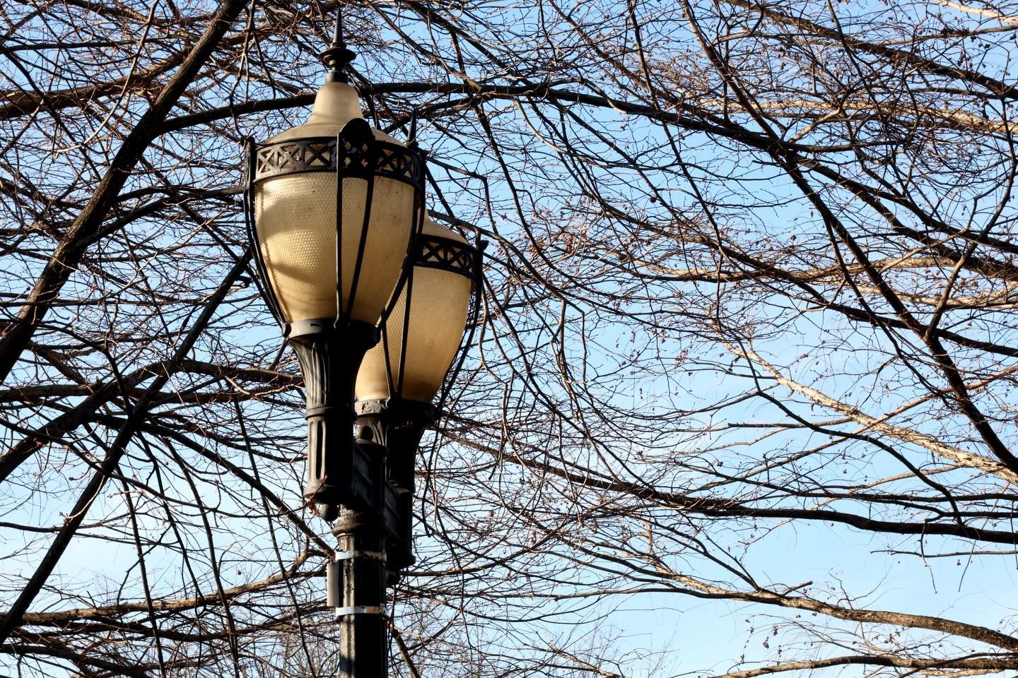 Cold Winter Afternoon

*
*
*
*
 #photographer #photography #naturephotography