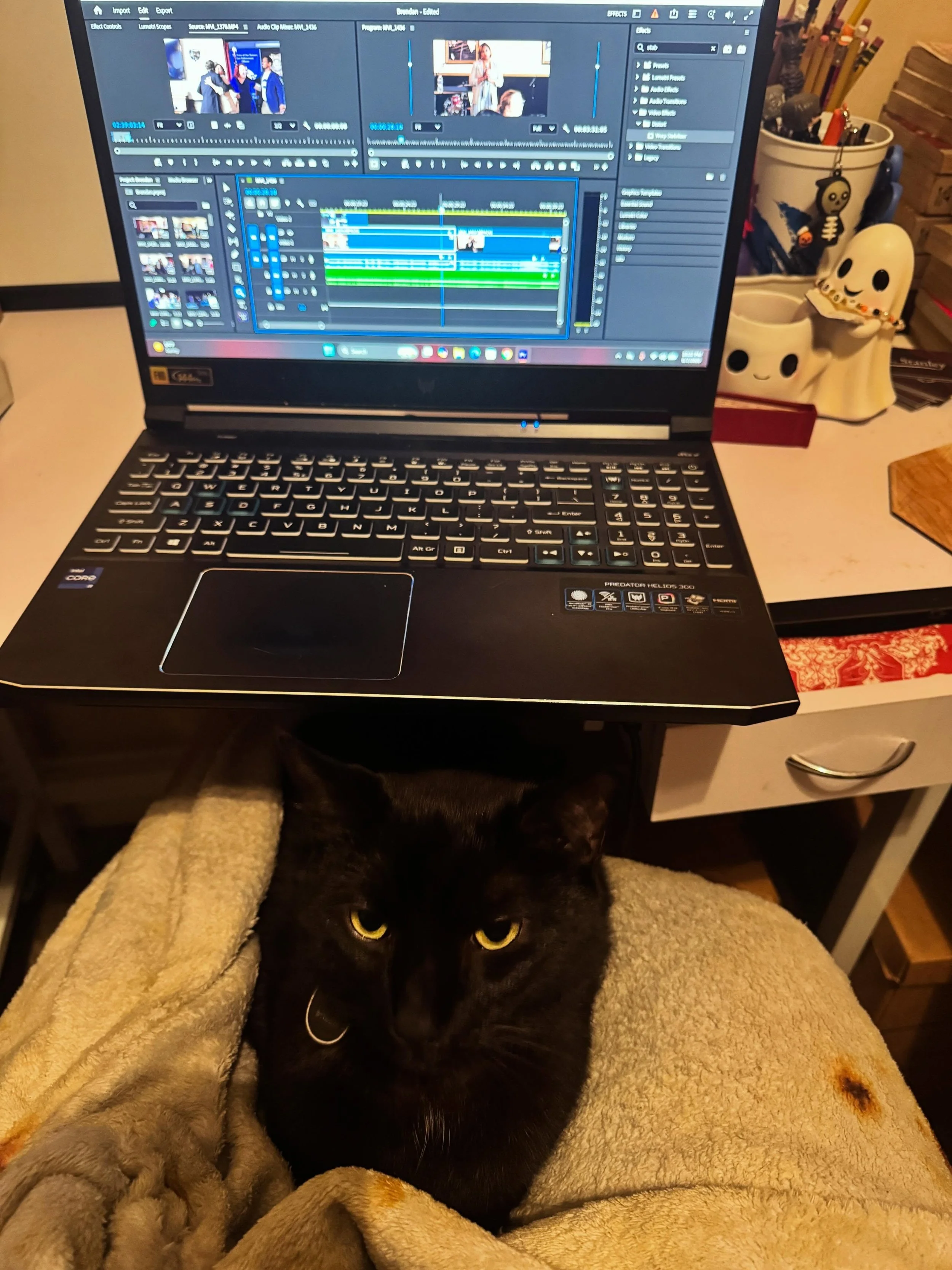 How do you edit your videos? 🐈&zwj;⬛ #videoediting #editor #videography #catlovers #smallbuisness