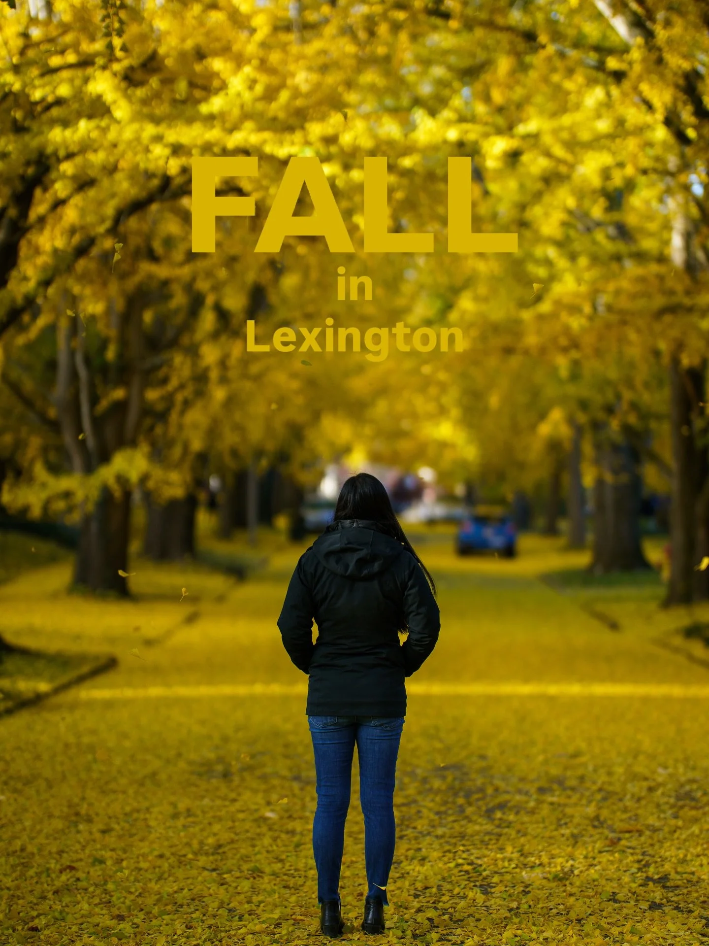 The colors have been so vibrant this week! I just had to make a stop by the prettiest street in Lexington! Thank you to @nerdslovebooks for being so nice and letting me capture her photo! #lexingtonky #fall #sharethelex