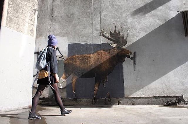Street art mural of a moose with its shadow painted on a concrete wall, creating an illusion of the shadow being a real moose,